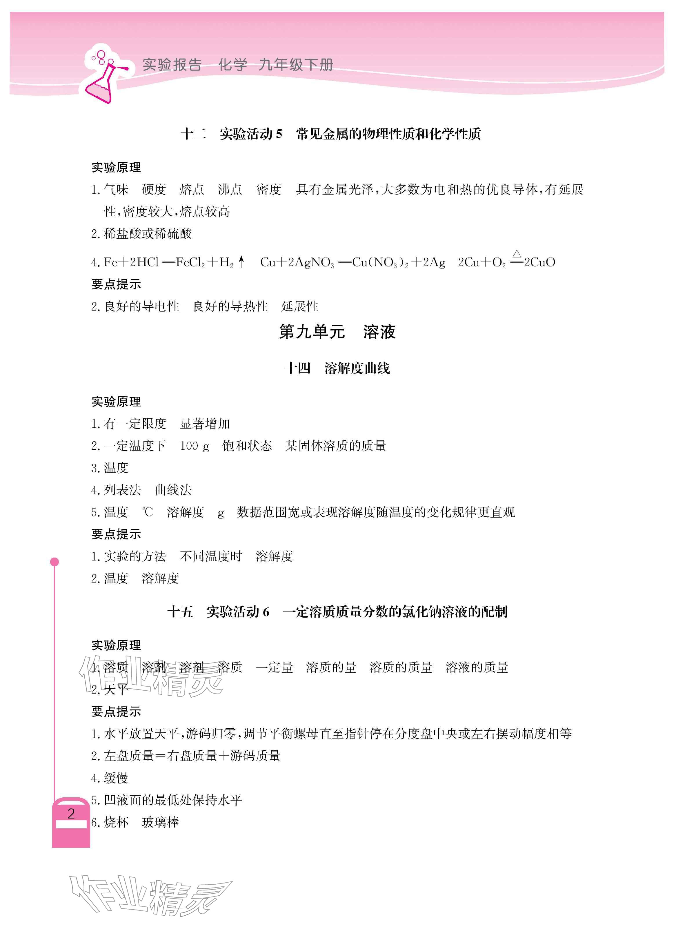 2026年长江作业本实验报告九年级化学下册人教版 参考答案第2页