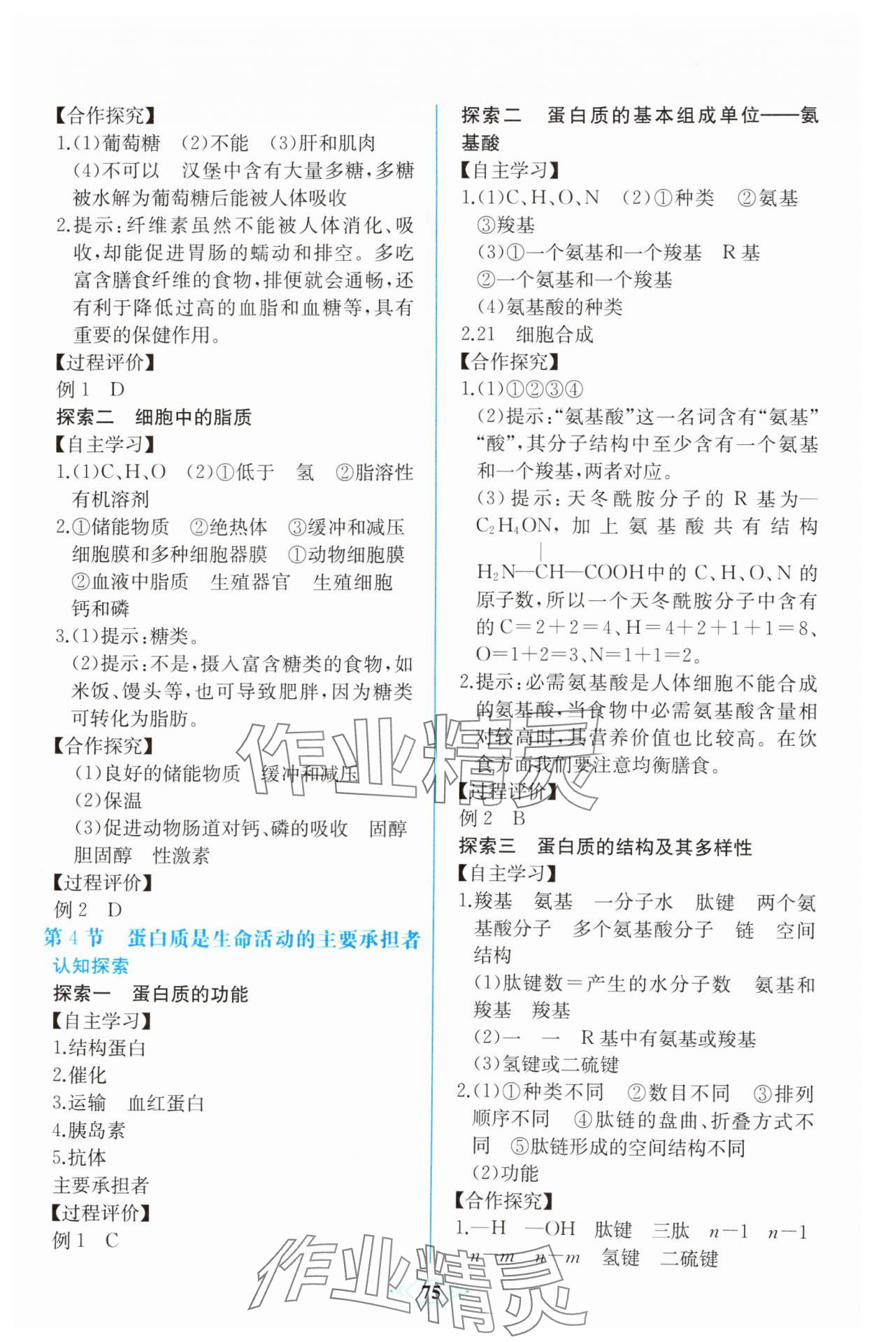 2025年新課程學習評價方案課時練高中生物必修1人教版 第5頁