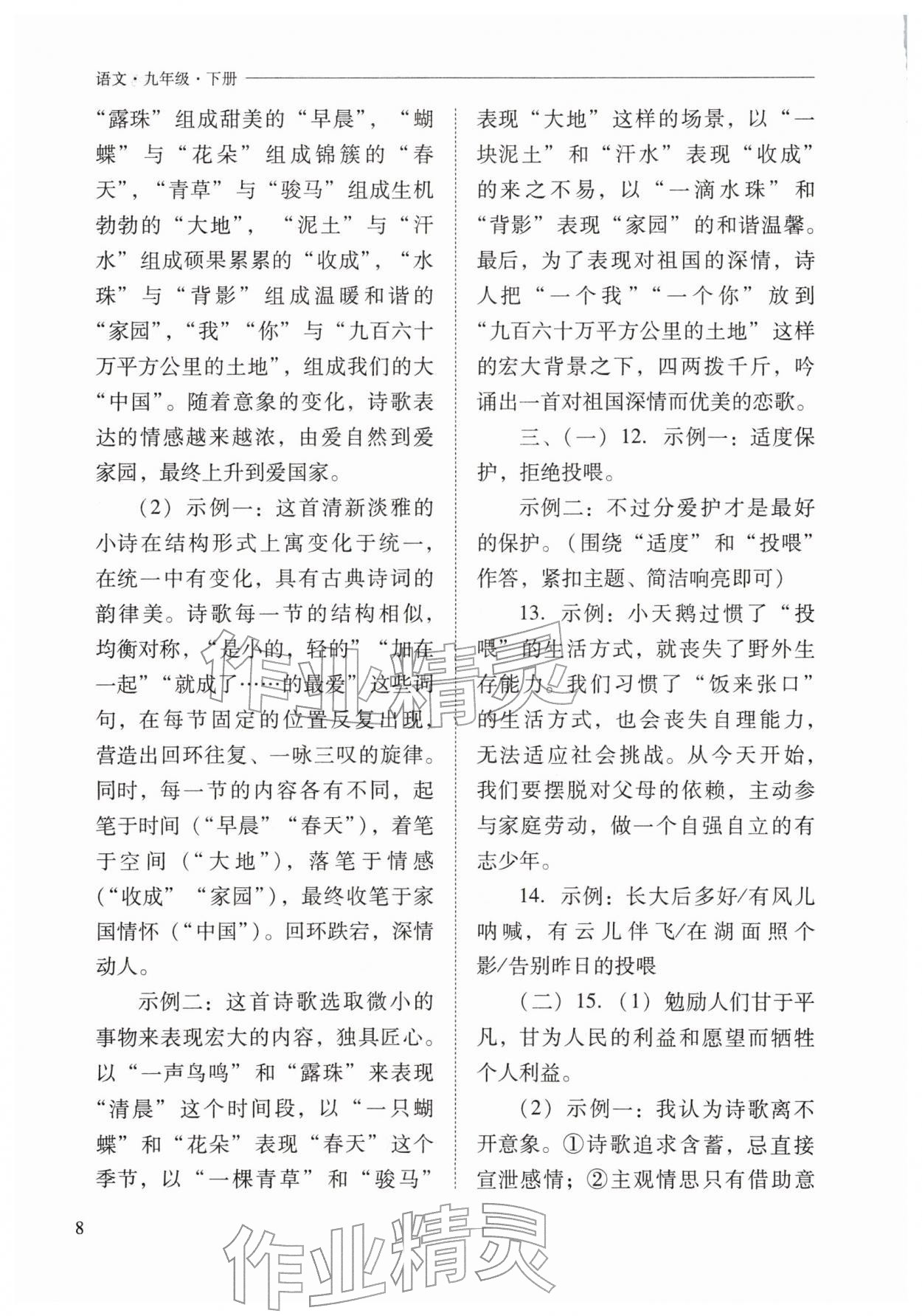 2026年新课程问题解决导学方案九年级语文下册人教版&nbsp;第8页