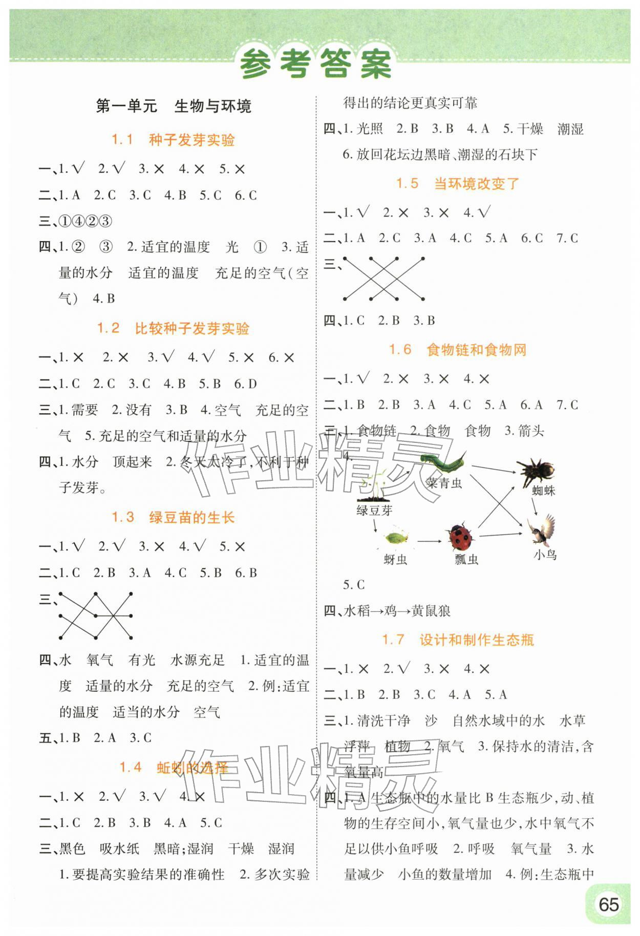 2026年黄冈同步练一日一练五年级科学下册教科版&nbsp;参考答案第1页