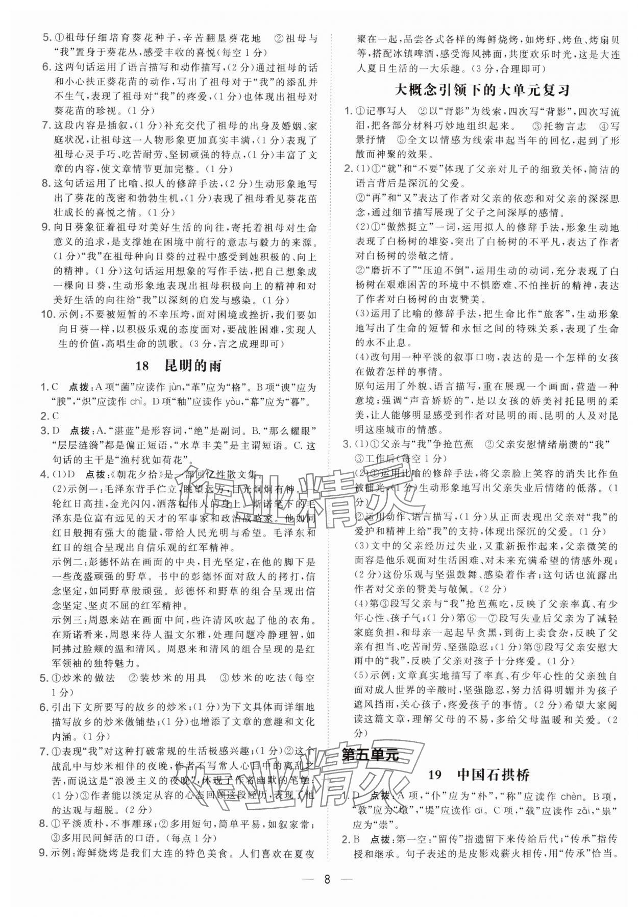 2025年点拨训练八年级语文上册人教版辽宁专版 参考答案第8页