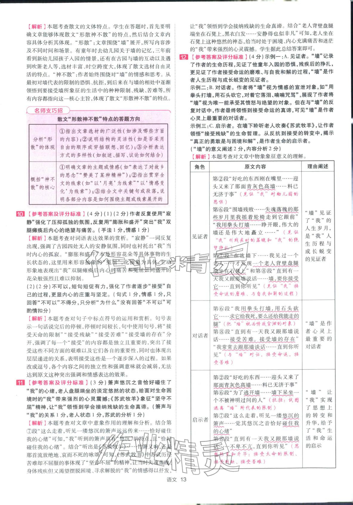 2026年金考卷浙江中考45套汇编语文浙江专版 第13页