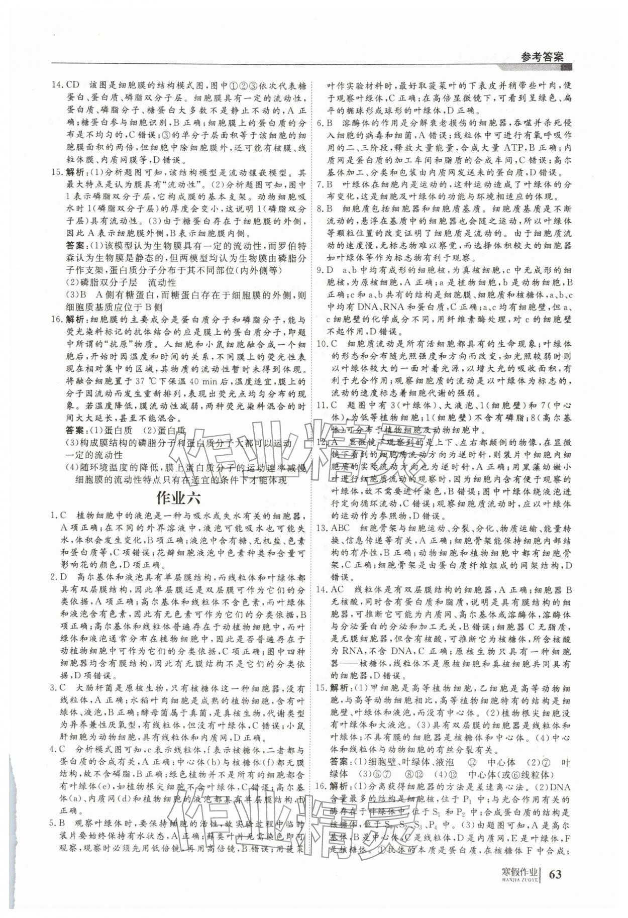 2026年刷題計劃寒假作業(yè)高一生物&nbsp;第5頁