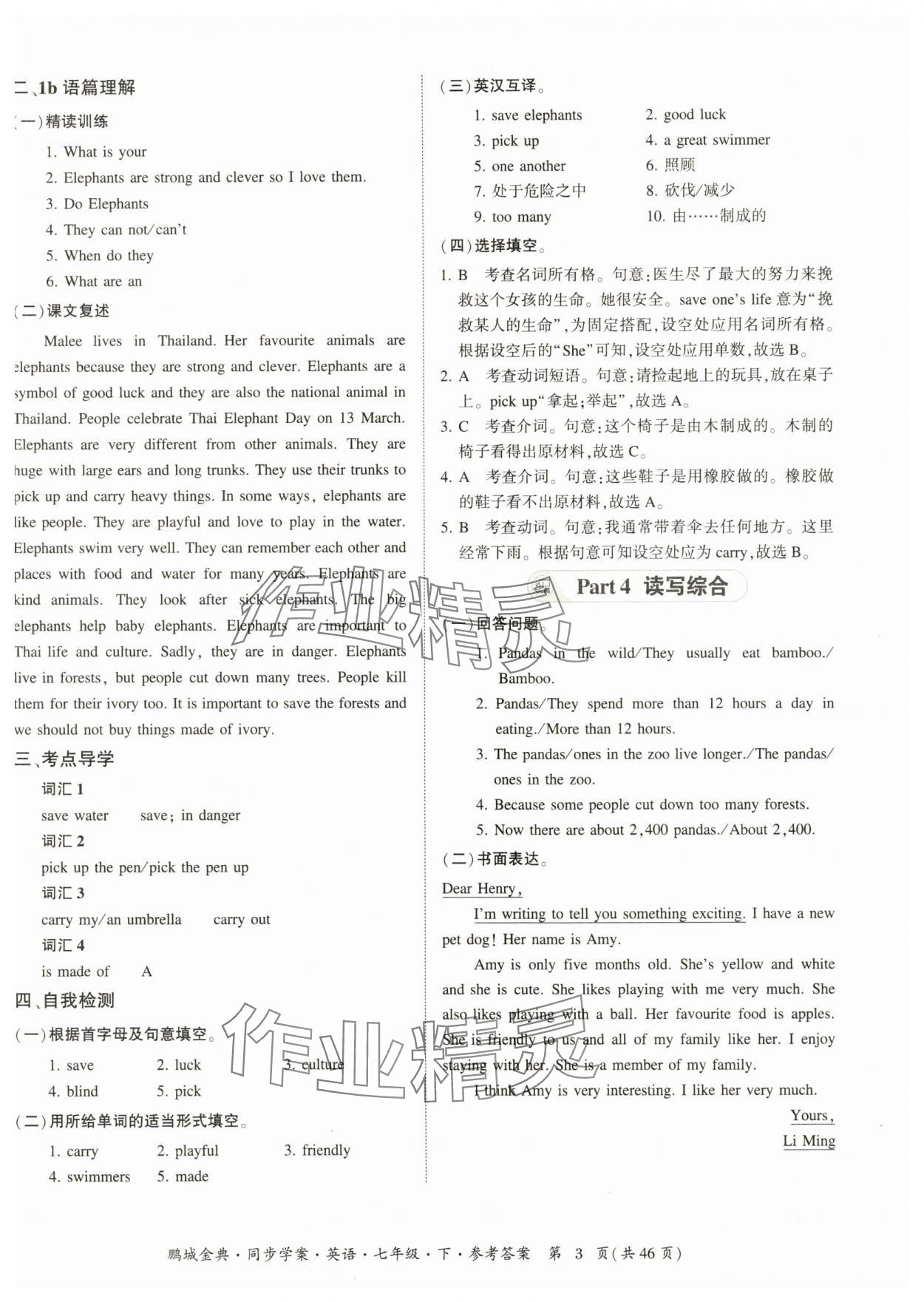 2025年名師幫同步學(xué)案七年級(jí)英語(yǔ)下冊(cè)人教版 參考答案第3頁(yè)