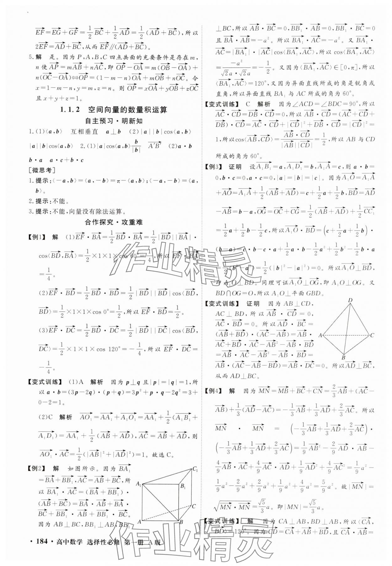 2025年贏在微點(diǎn)高中數(shù)學(xué)選擇性必修第一冊A版 參考答案第2頁