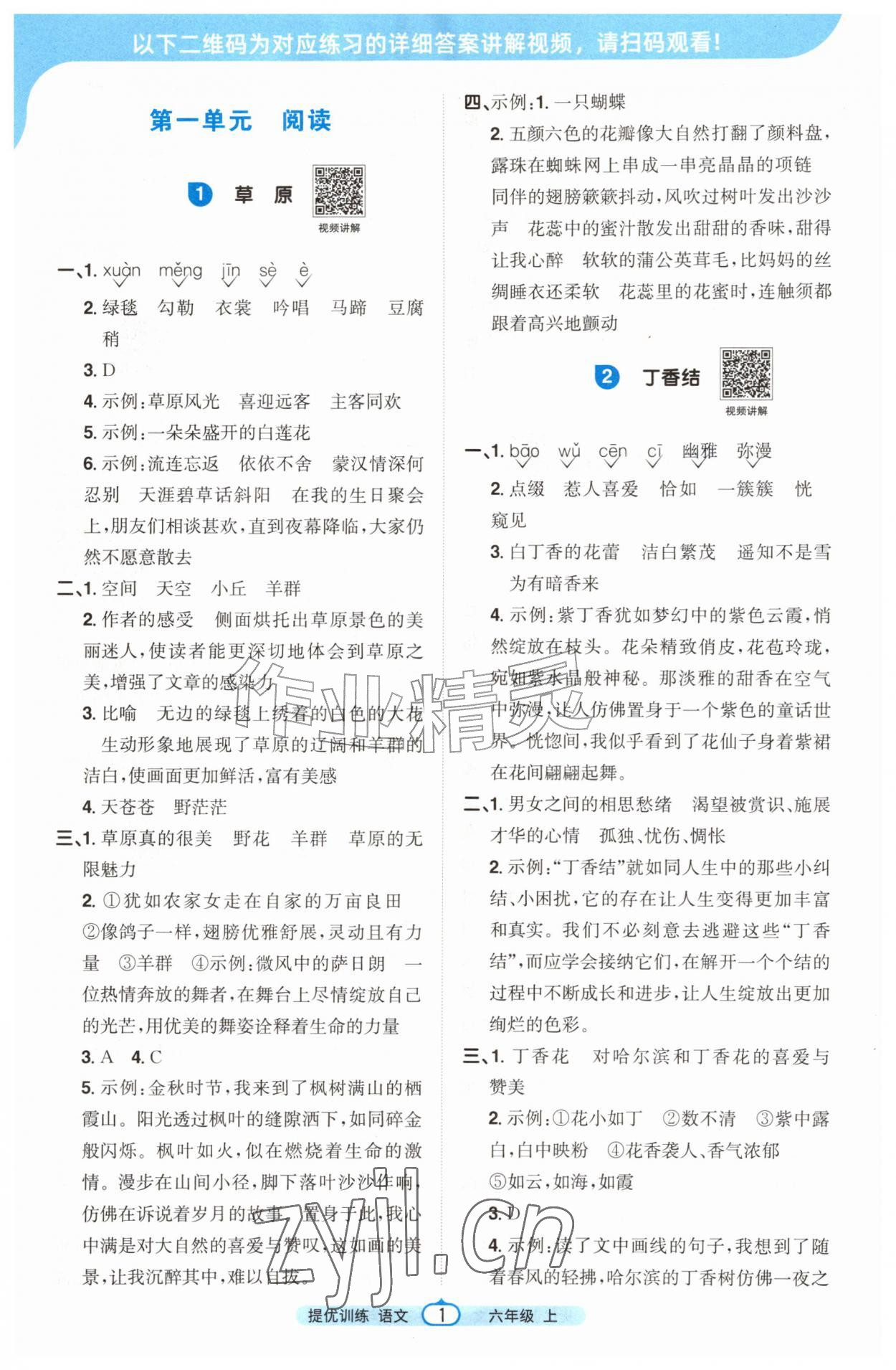 2026年阳光同学提优训练六年级语文上册人教版&nbsp;第1页