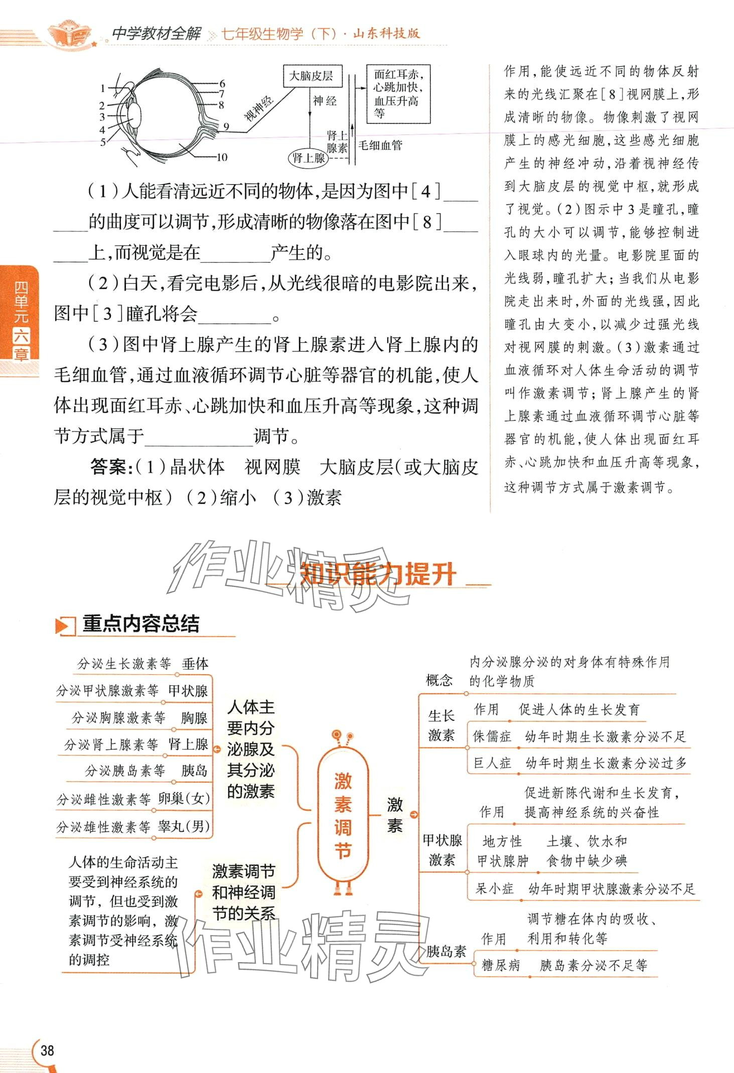 2024年教材课本七年级生物下册鲁科版&nbsp;第38页