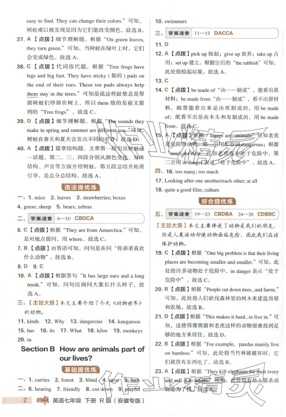 2026年综合应用创新题典中点七年级英语下册人教版安徽专版&nbsp;第3页