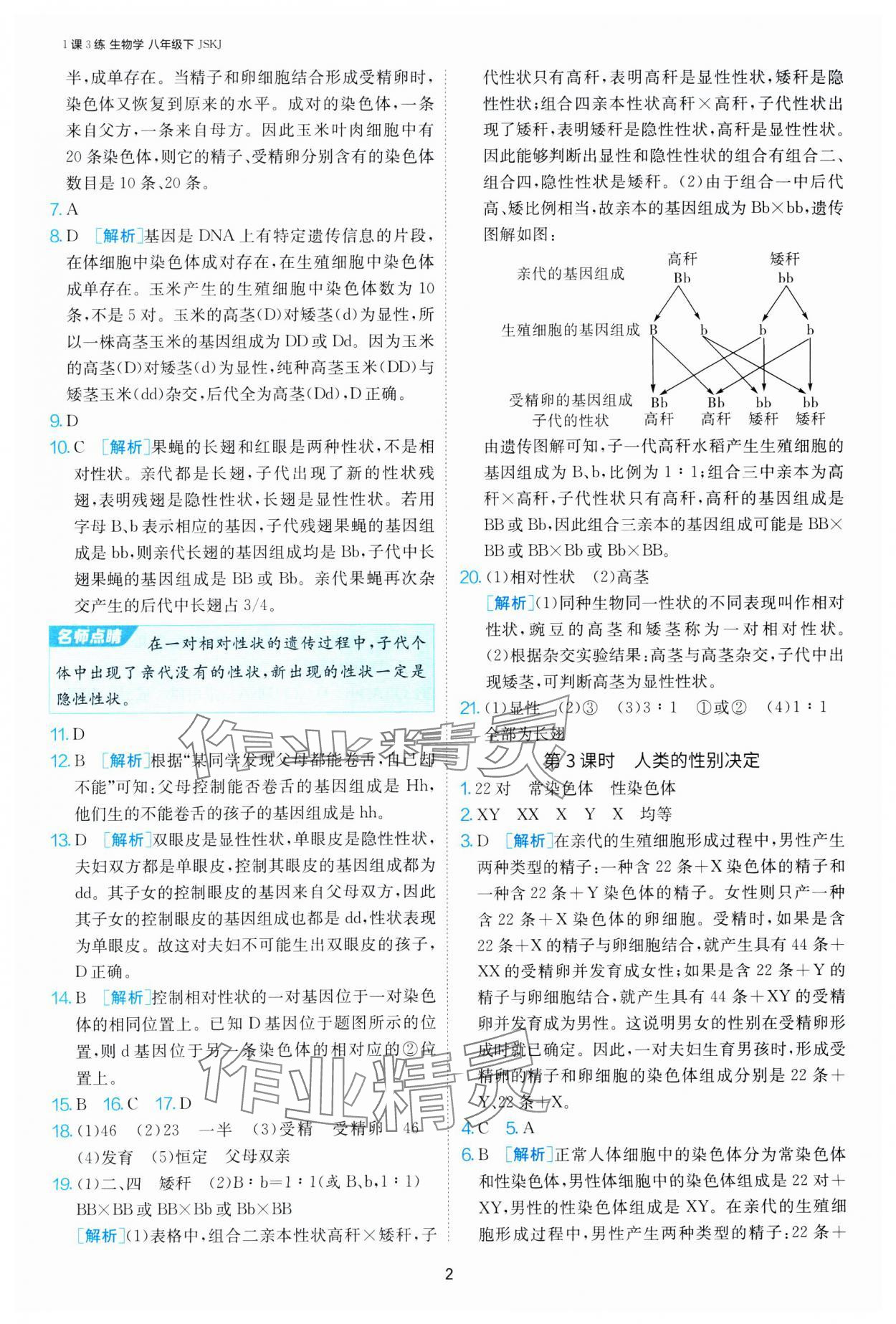 2025年1课3练江苏人民出版社八年级生物下册苏科版 第2页