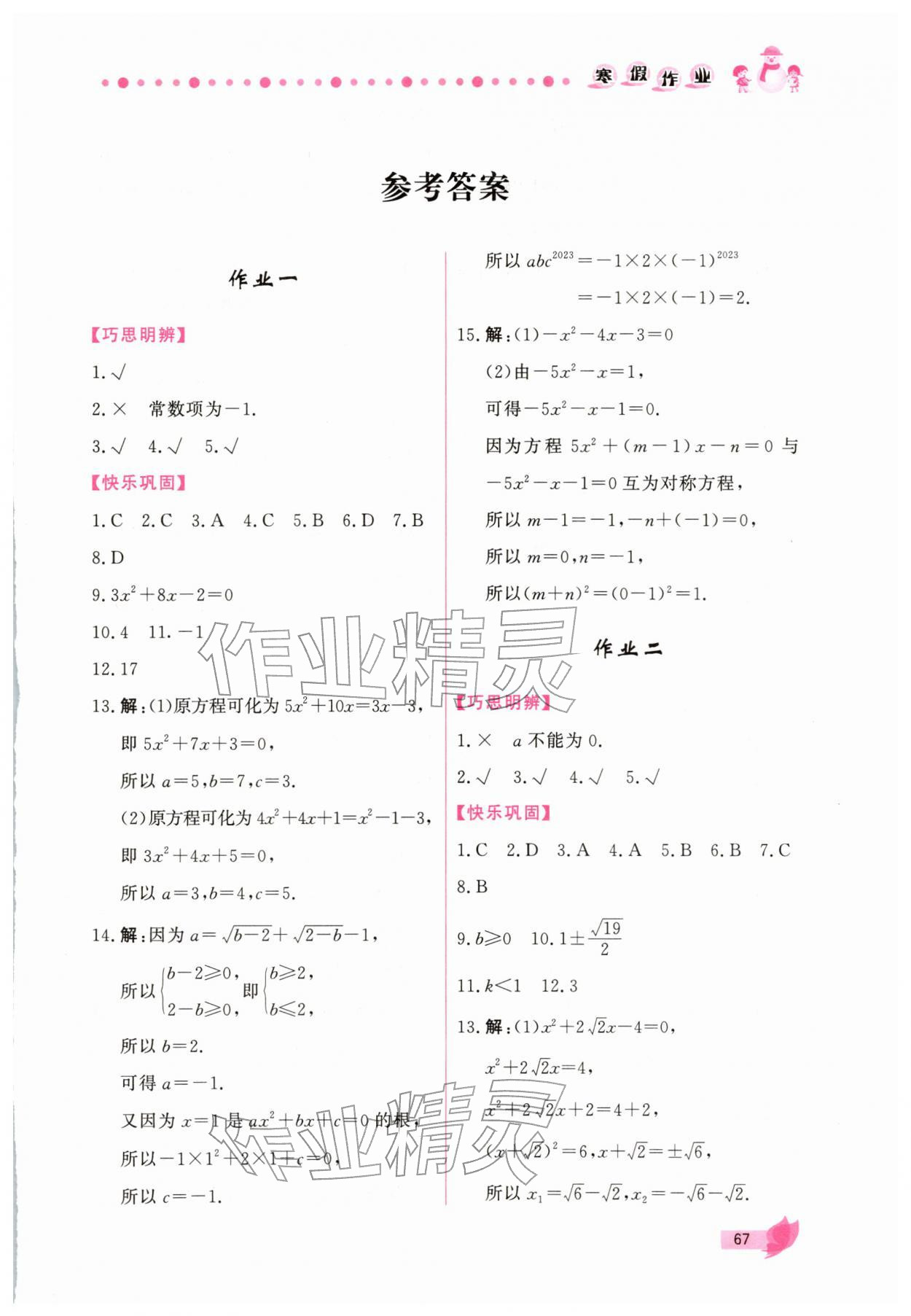 2026年新學(xué)案寒假作業(yè)九年級(jí)數(shù)學(xué)人教版&nbsp;第1頁