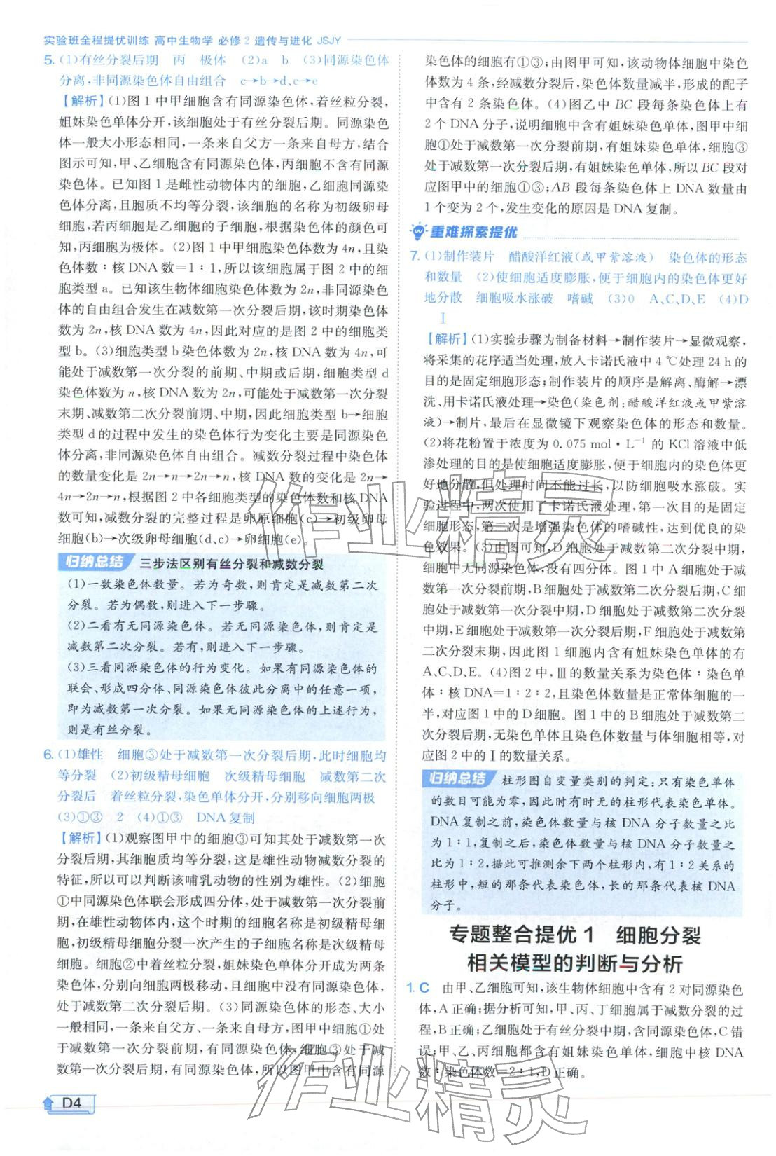 2026年實驗班提優(yōu)訓(xùn)練高中生物必修第二冊蘇教版&nbsp;第4頁