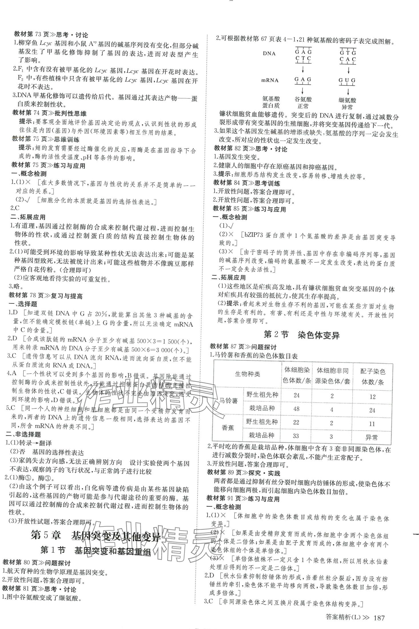 2024年創(chuàng)新設(shè)計高中生物必修2人教版 第6頁