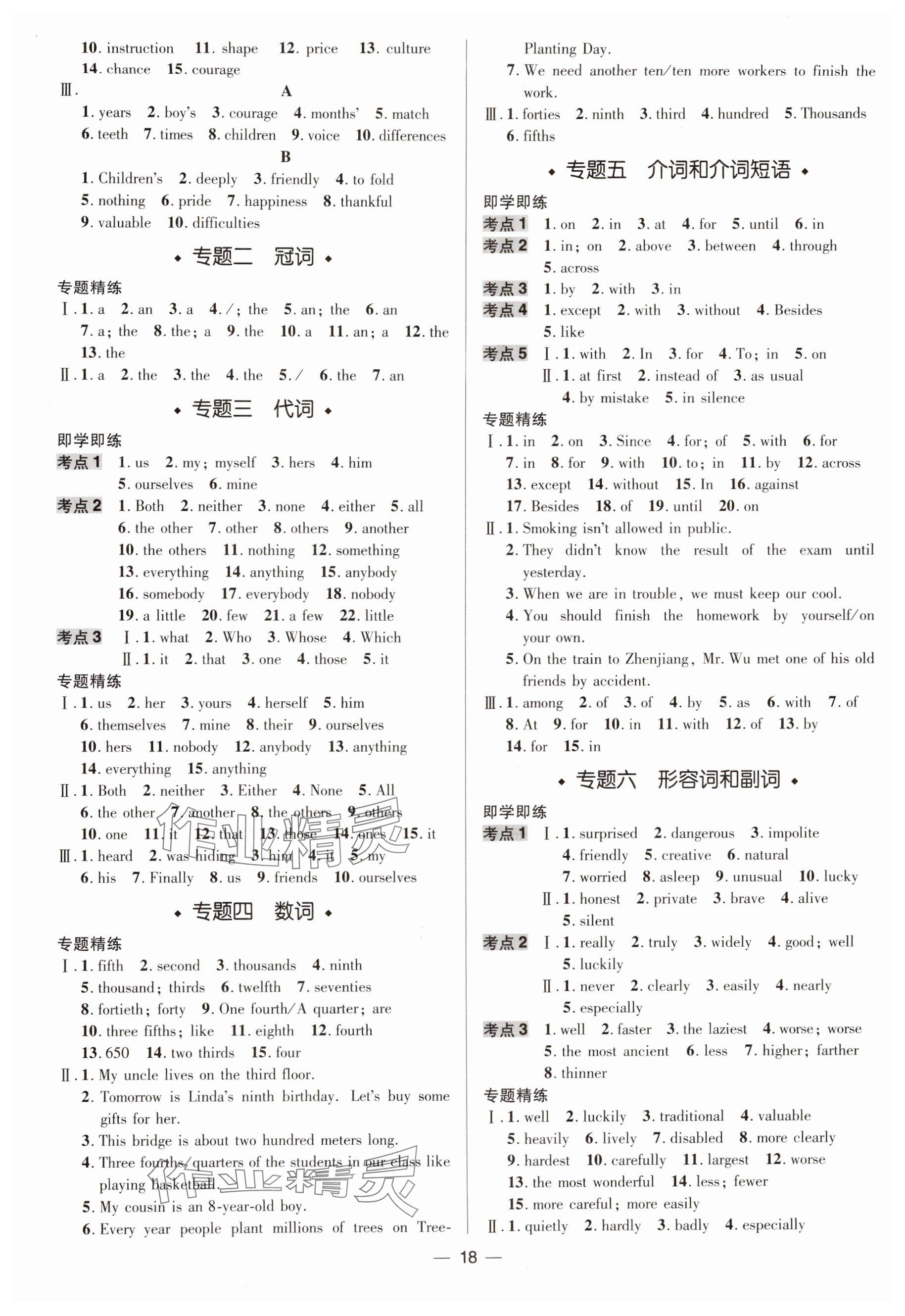 2025年中考对策英语临沂专版 参考答案第18页