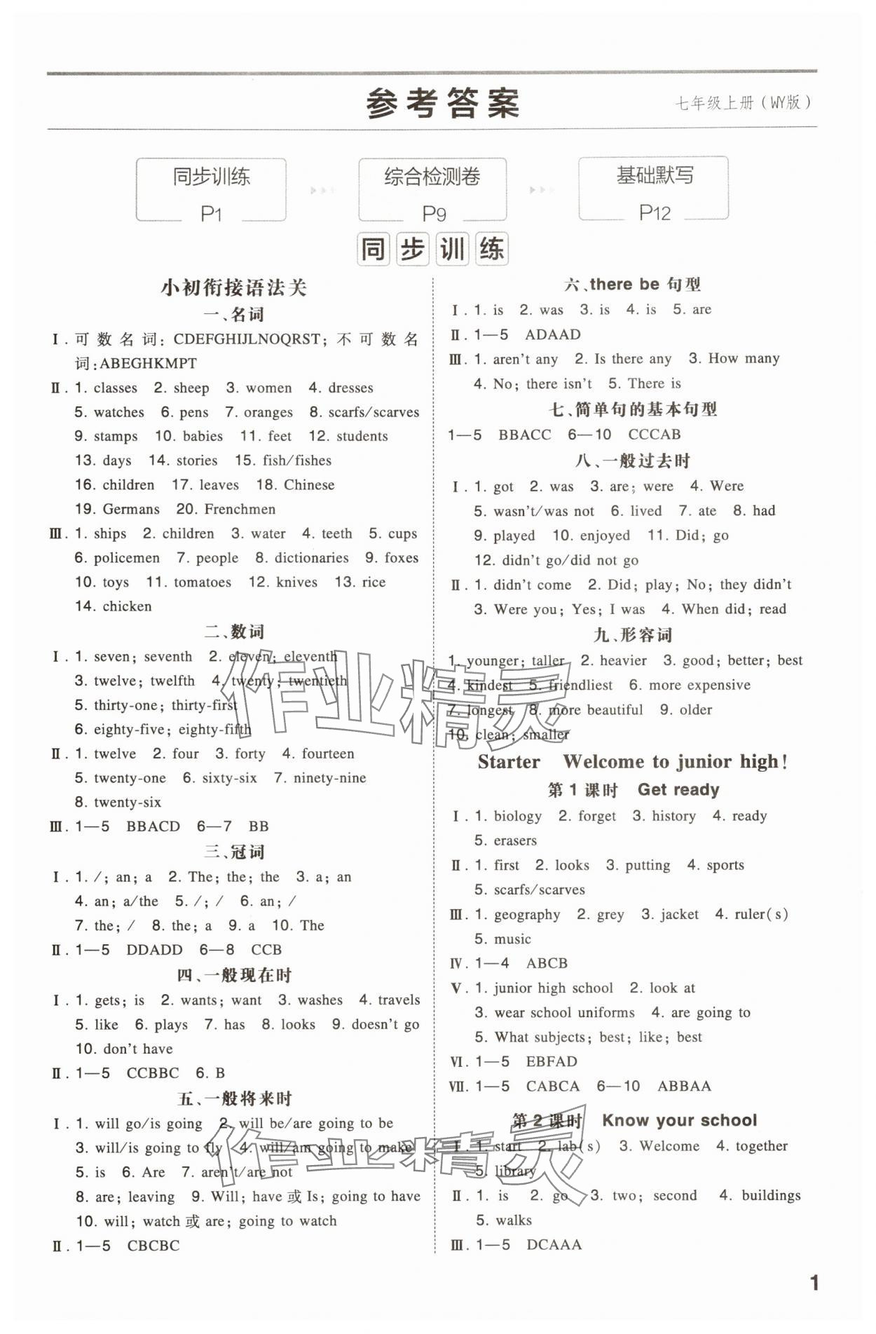 2025年一本同步训练七年级初中英语上册外研版 第1页