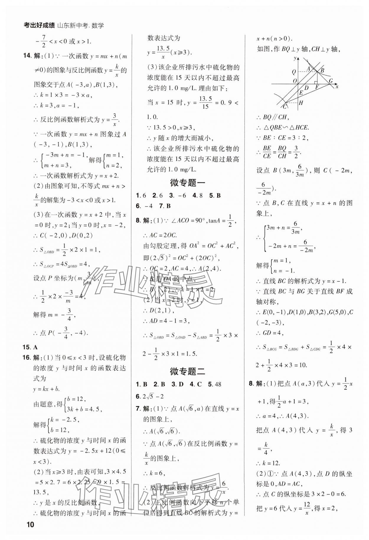 2025年考出好成绩中考总复习数学山东专版 第10页