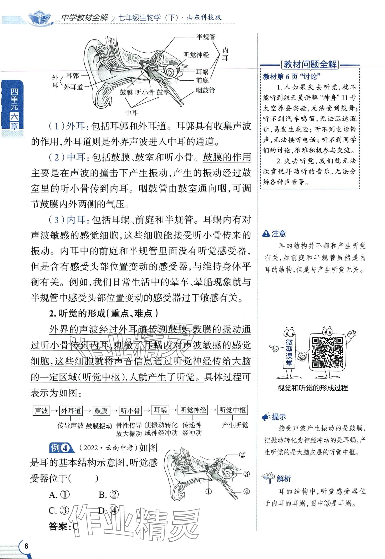 2024年教材课本七年级生物下册鲁科版&nbsp;第6页