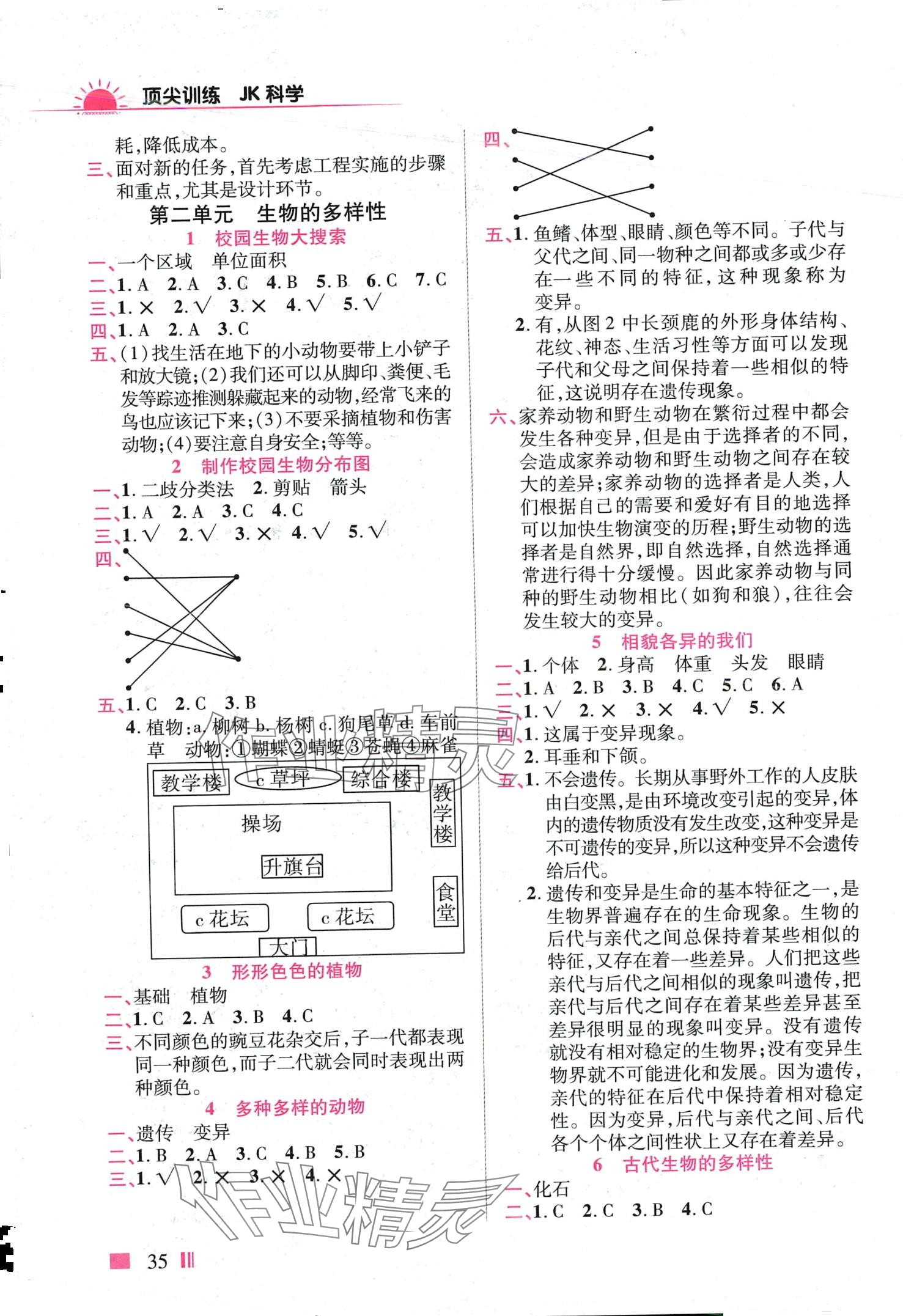2024年顶尖训练六年级科学下册教科版 第2页