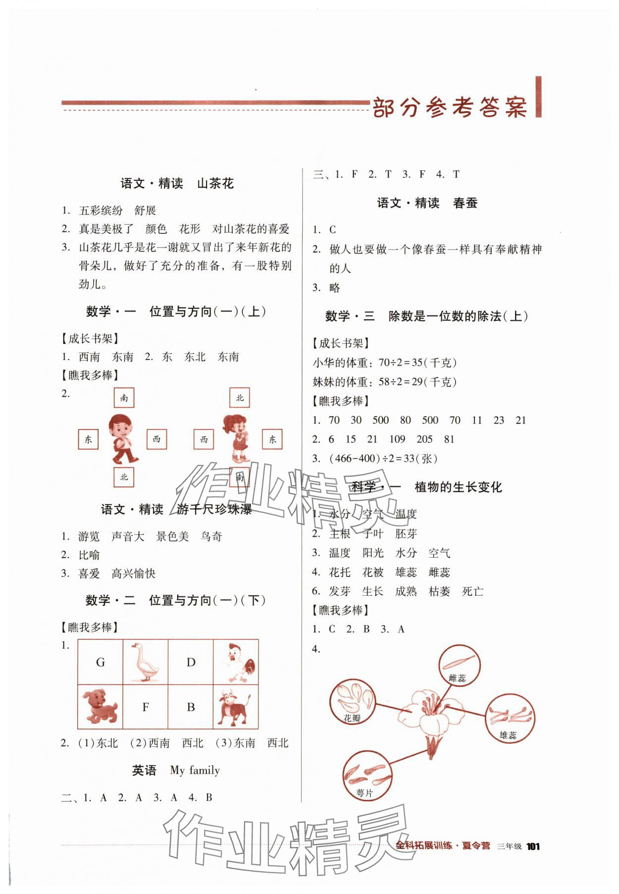 2024年全科拓展訓練夏令營三年級 第1頁