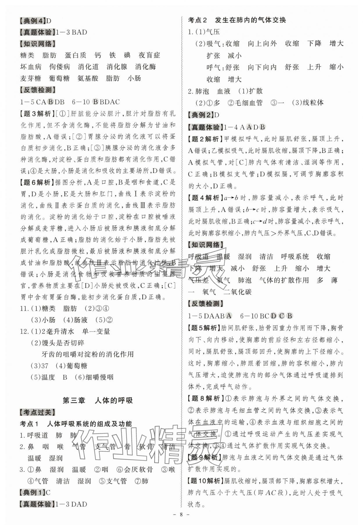 2024年名师中考生物广东专用&nbsp;第8页