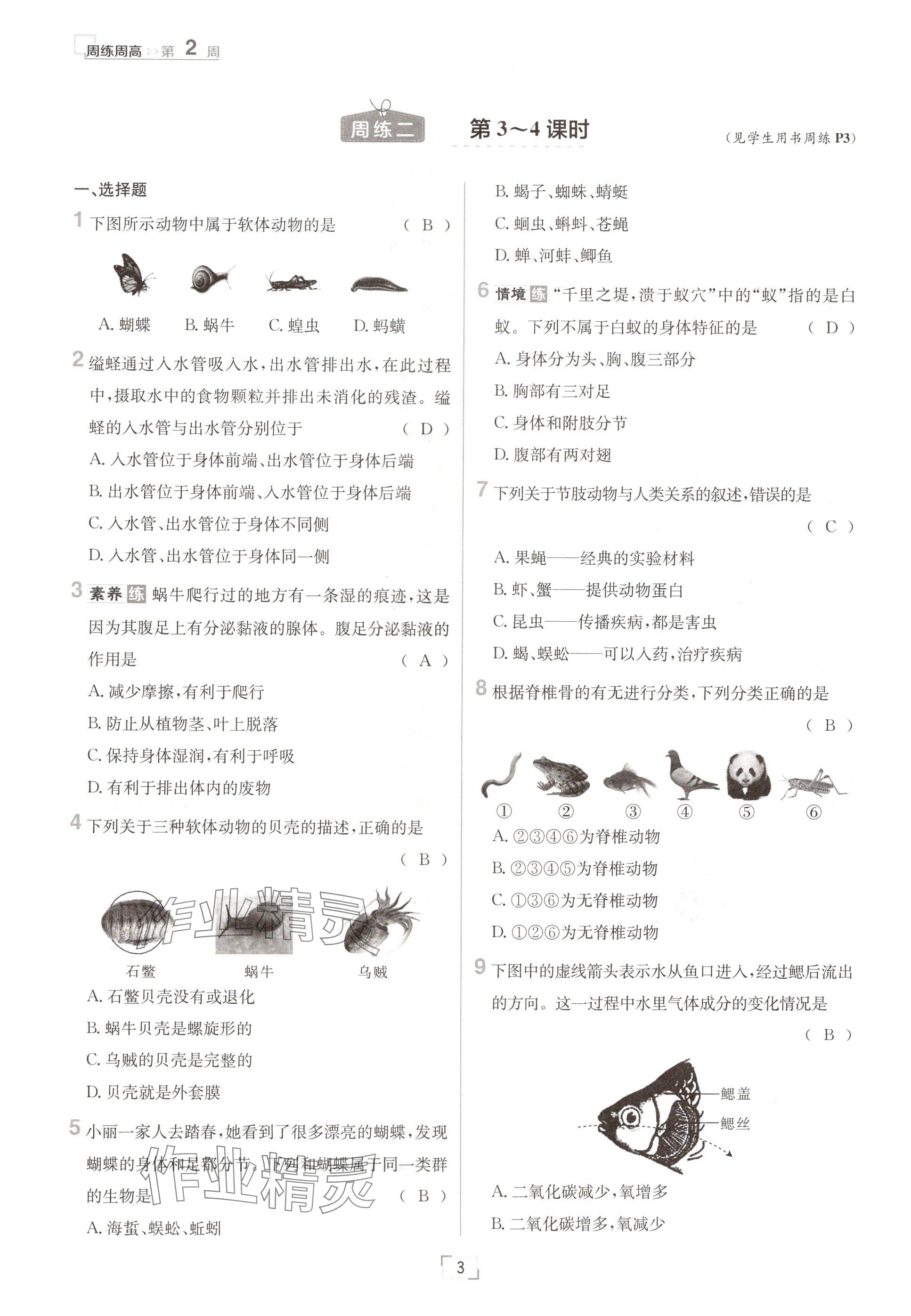 2024年日清周練八年級(jí)生物上冊(cè)人教版 參考答案第3頁