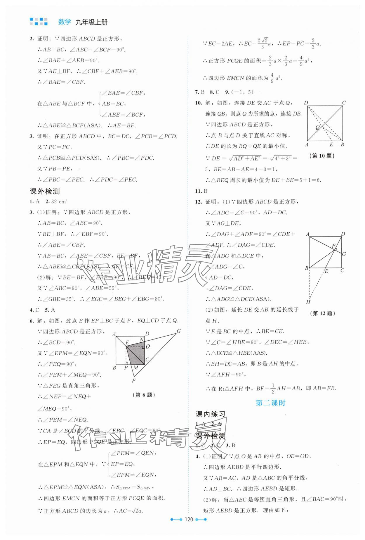 2024年伴你学北京师范大学出版社九年级数学上册北师大版 第4页