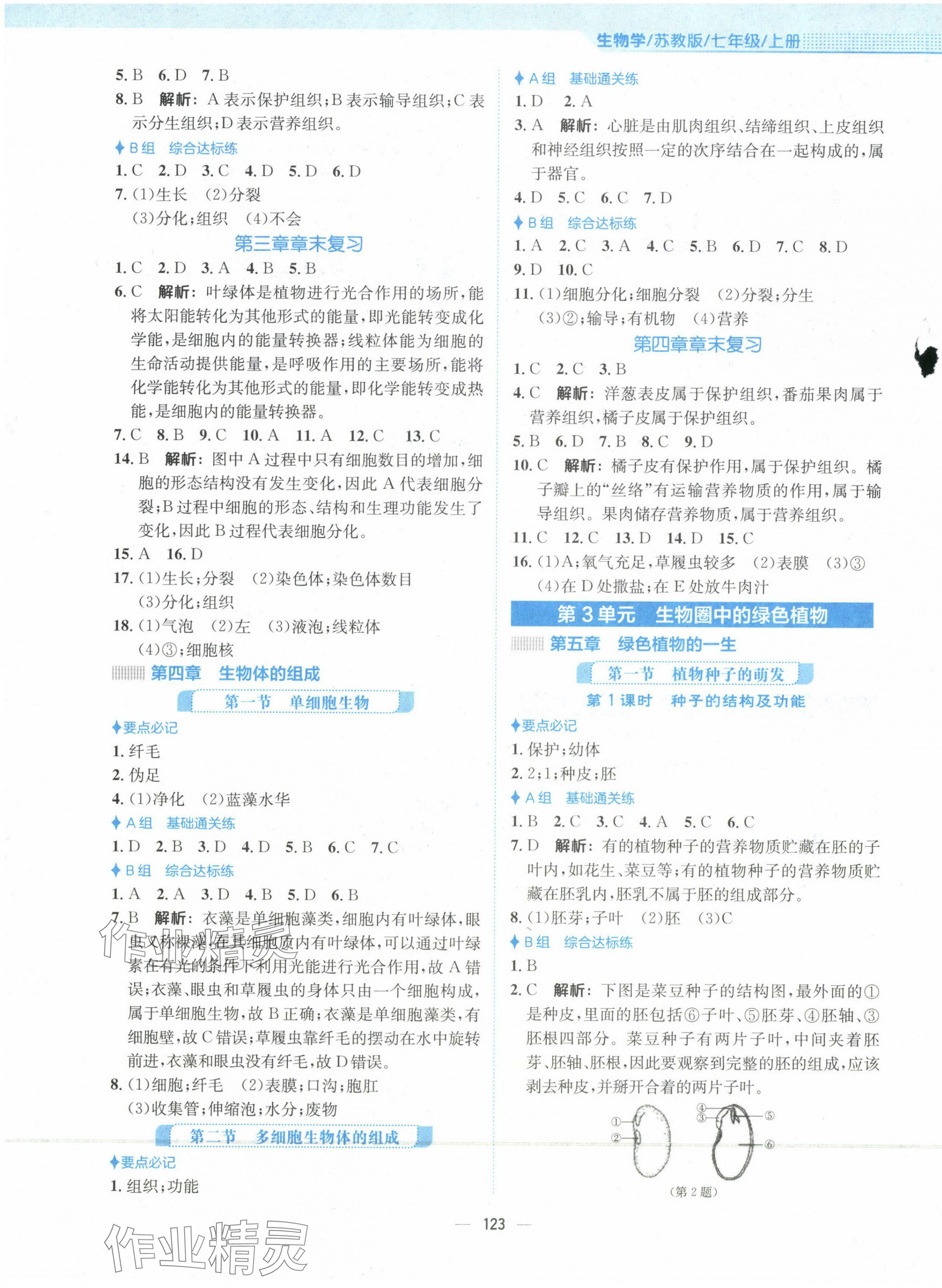 2023年新编基础训练七年级生物上册苏教版 第3页