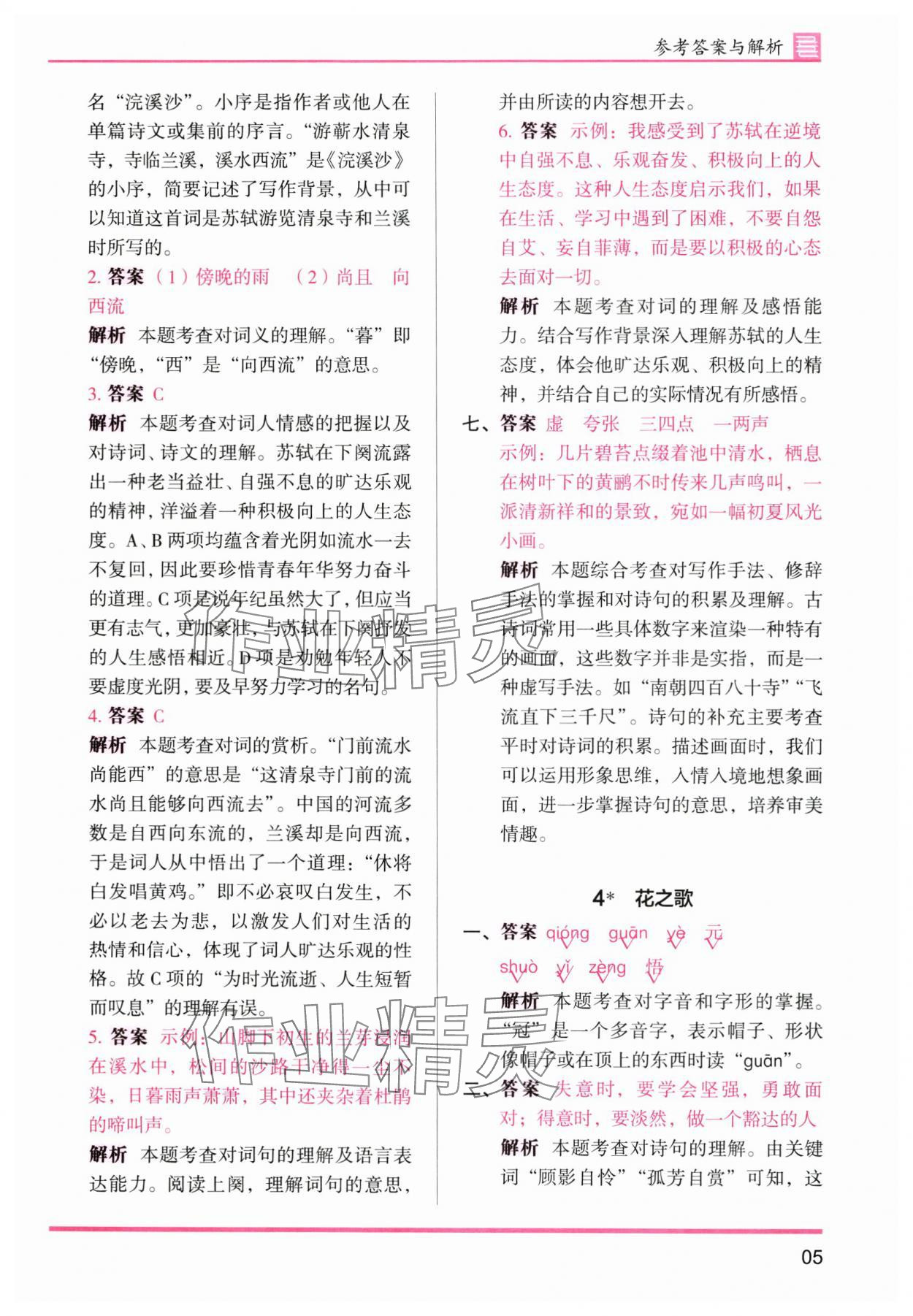 2025年木頭馬分層課課練六年級語文上冊人教版浙江專版 第5頁