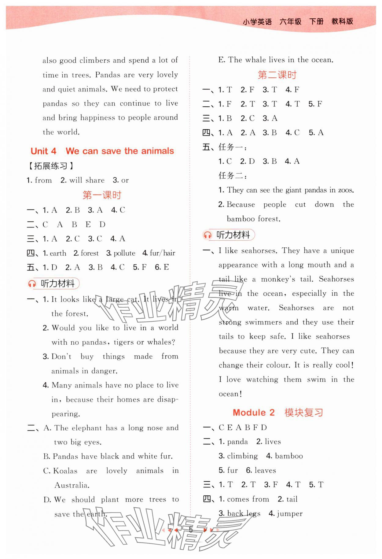 2024年53天天練六年級英語下冊教科版廣州專版 參考答案第5頁