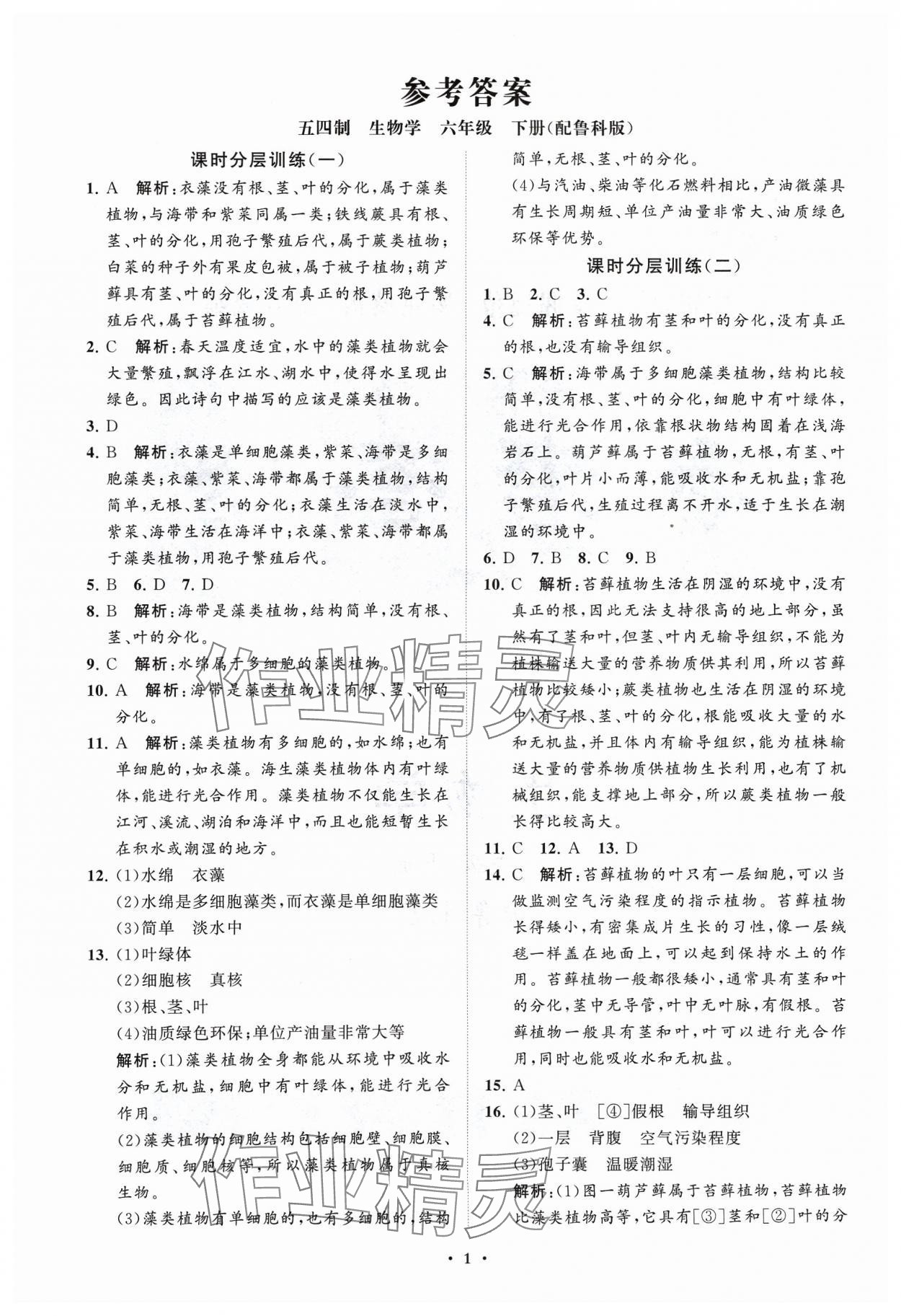 2024年同步练习册分层卷六年级生物下册鲁科版54制 参考答案第1页