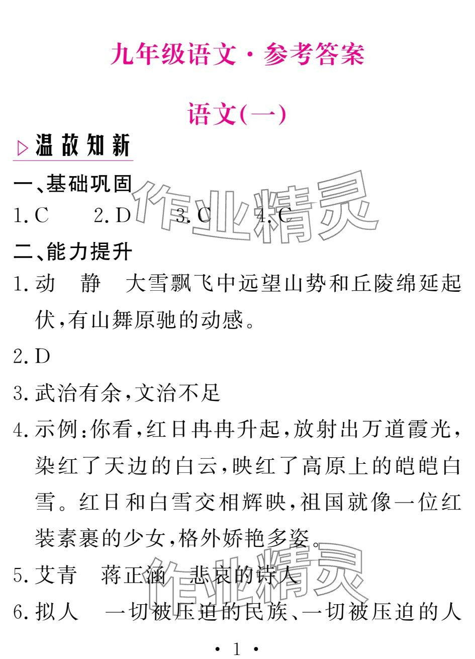 2025年天舟文化精彩寒假團(tuán)結(jié)出版社九年級(jí)語(yǔ)文 參考答案第1頁(yè)