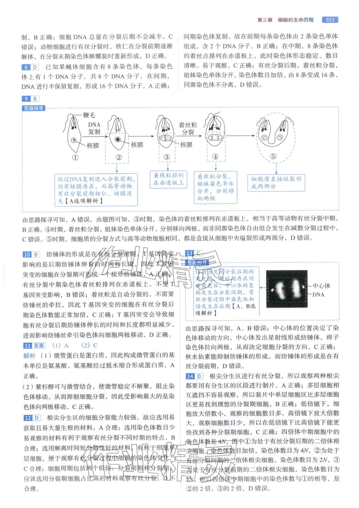2026年高途高考基礎(chǔ)2000題高中生物&nbsp;第33頁