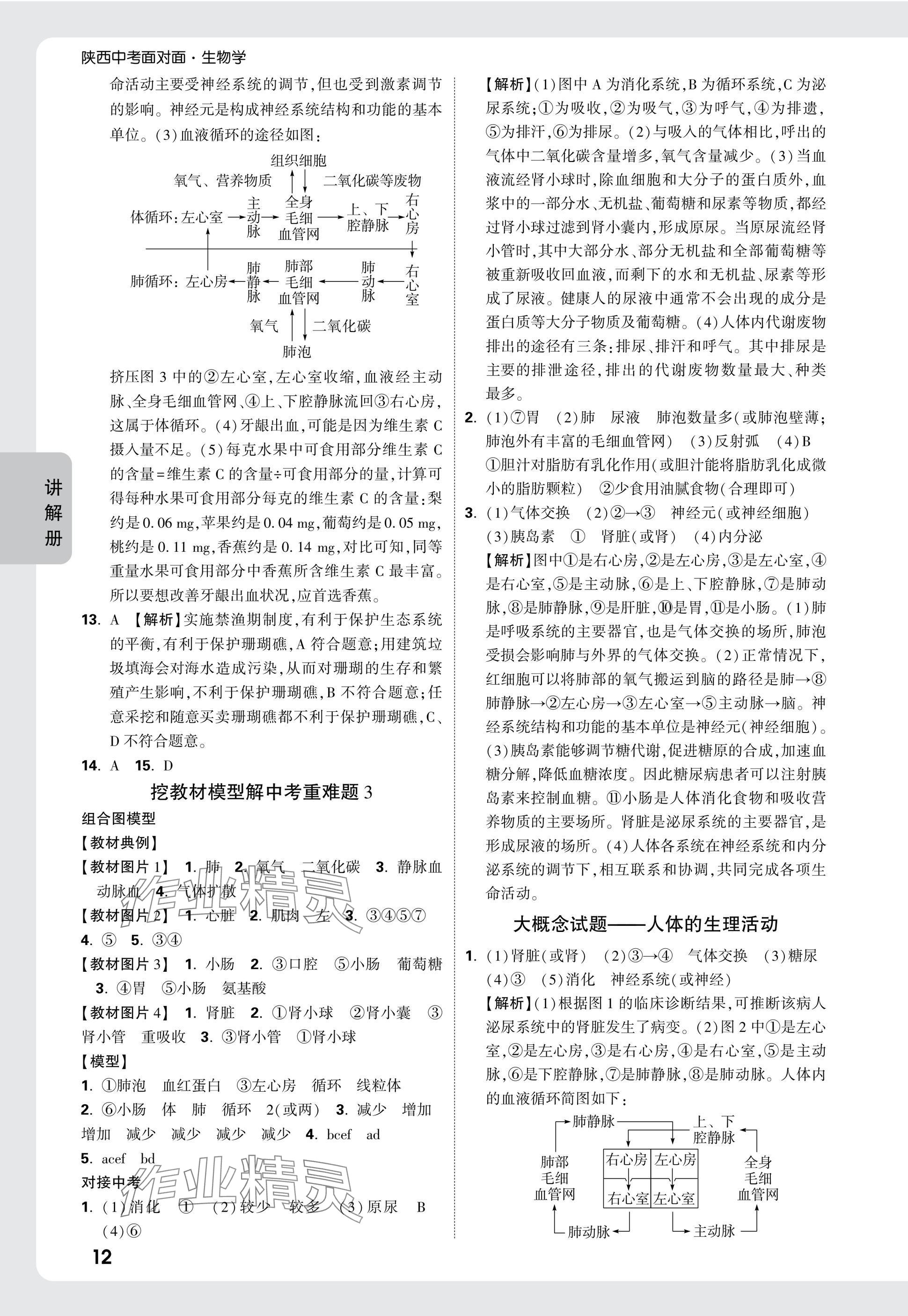 2025年中考面對面生物中考人教版陜西專版 參考答案第18頁