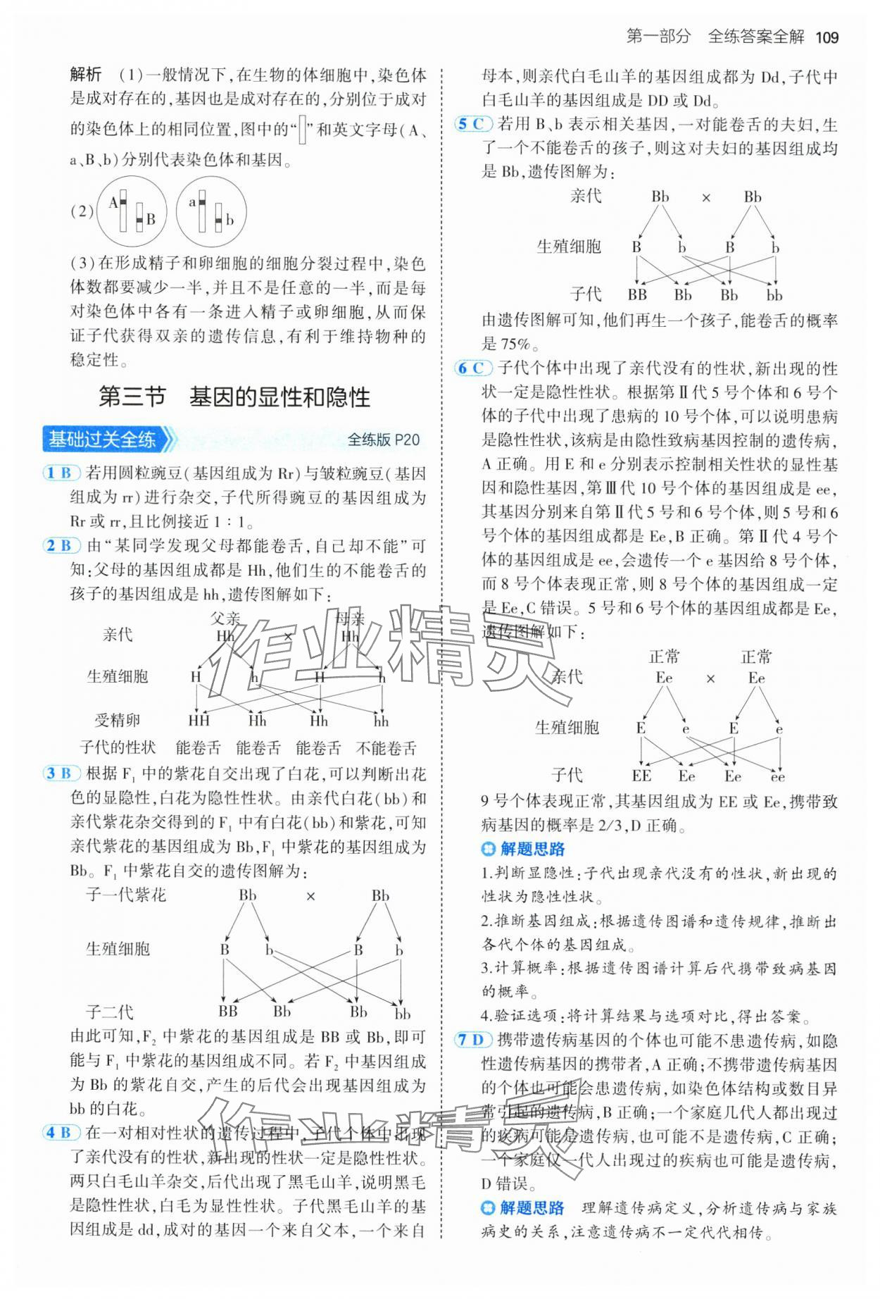 2025年5年中考3年模擬八年級生物下冊人教版 參考答案第7頁