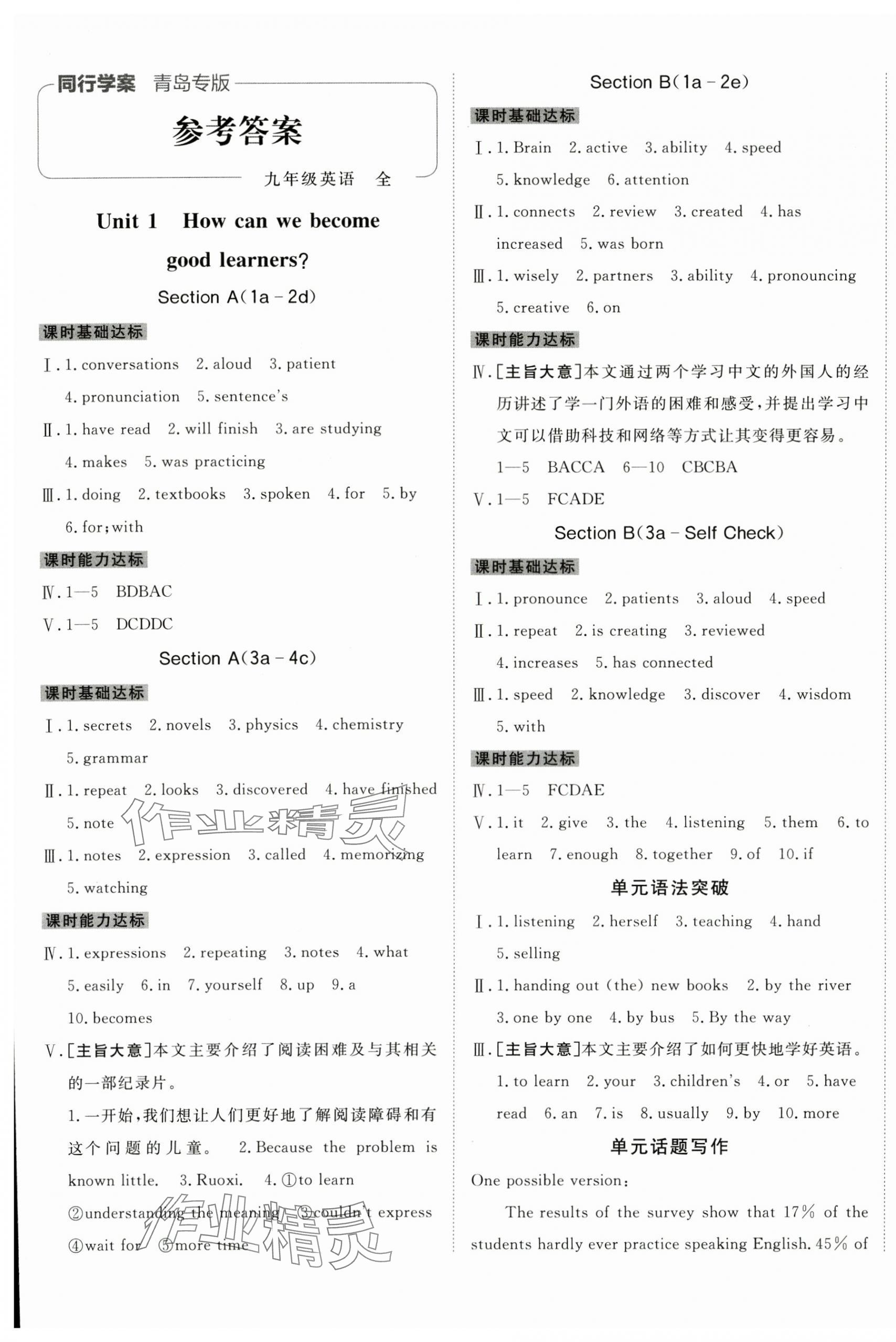 2025年同行学案学练测九年级英语全一册人教版青岛专版 第1页