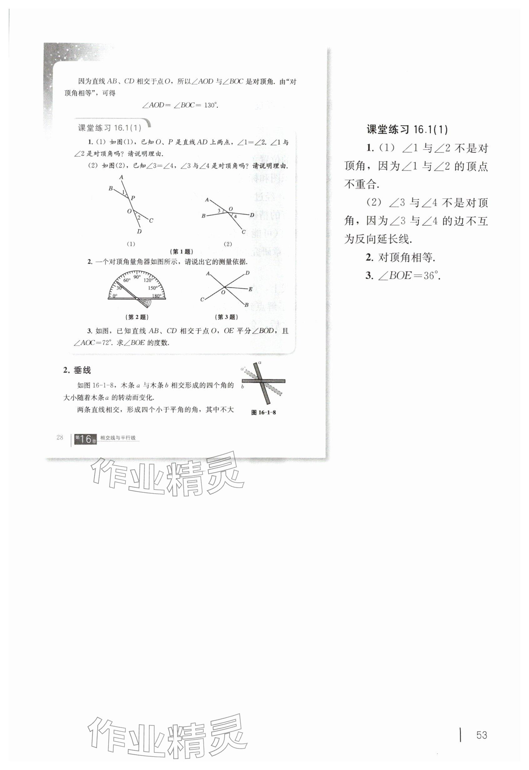 2026年教材课本七年级数学下册沪教版五四制&nbsp;参考答案第43页