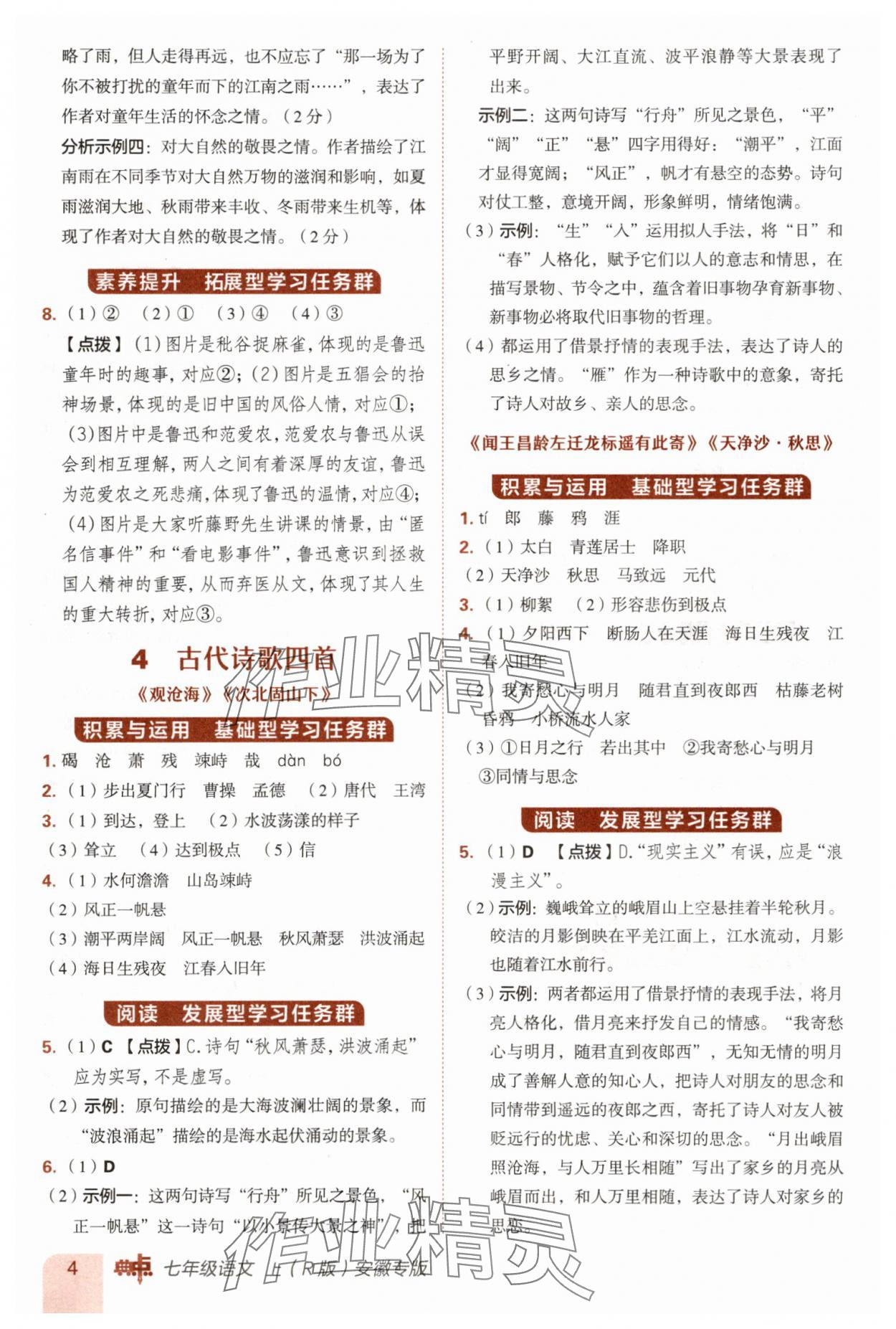 2025年综合应用创新题典中点七年级语文上册人教版安徽专版 第4页