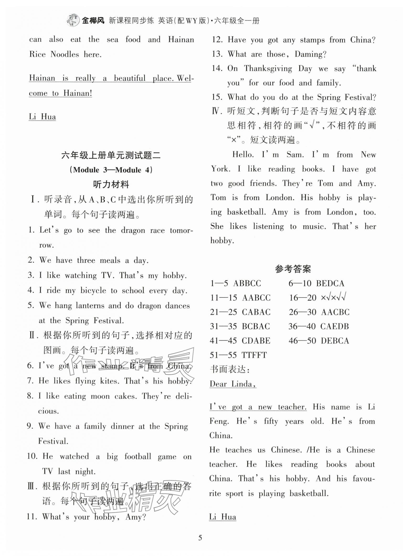 2025年金椰风新课程同步练六年级英语全一册外研版 第5页
