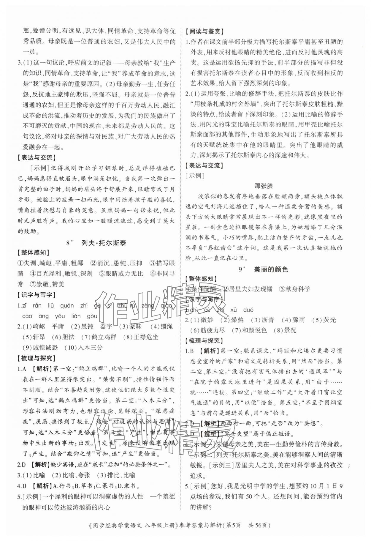 2024年同步經(jīng)典學(xué)案八年級語文上冊人教版深圳專版 第5頁