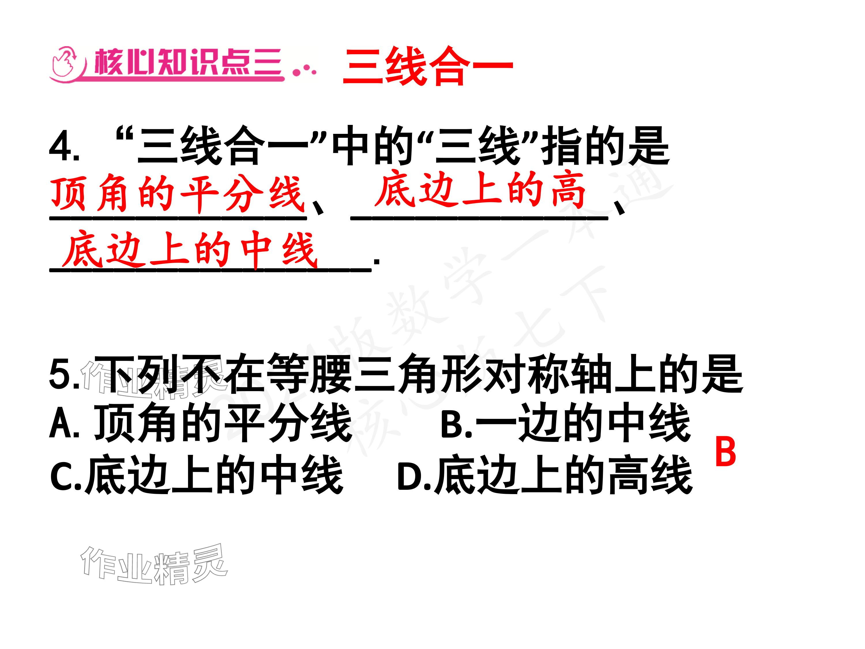 2024年一本通武汉出版社七年级数学下册北师大版 参考答案第26页