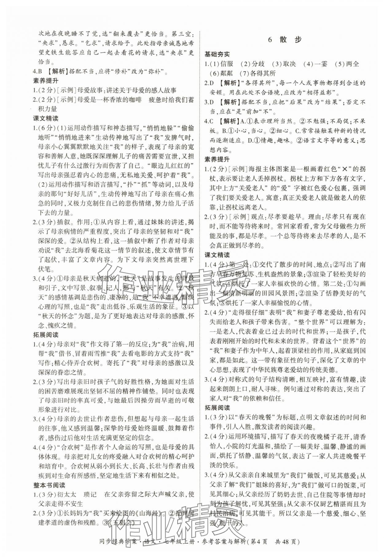 2025年同步經典學案七年級語文上冊人教版 第4頁