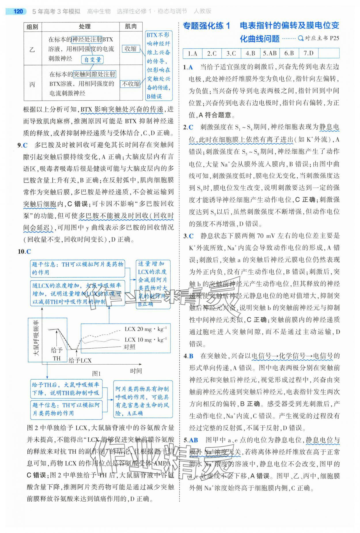 2025年5年高考3年模擬高中生物選擇性必修1人教版 第18頁