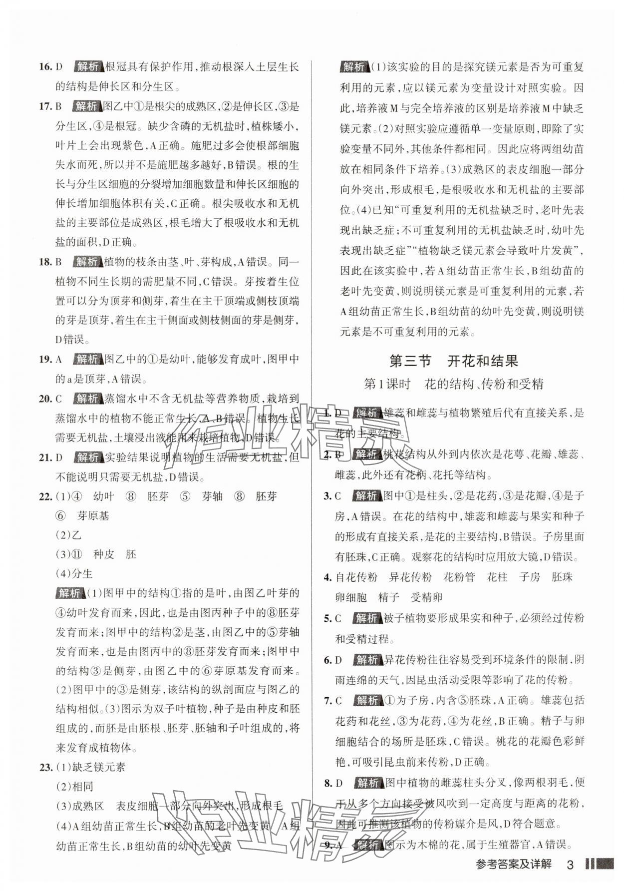 2025年名校作業七年級生物下冊人教版山西專版 參考答案第3頁