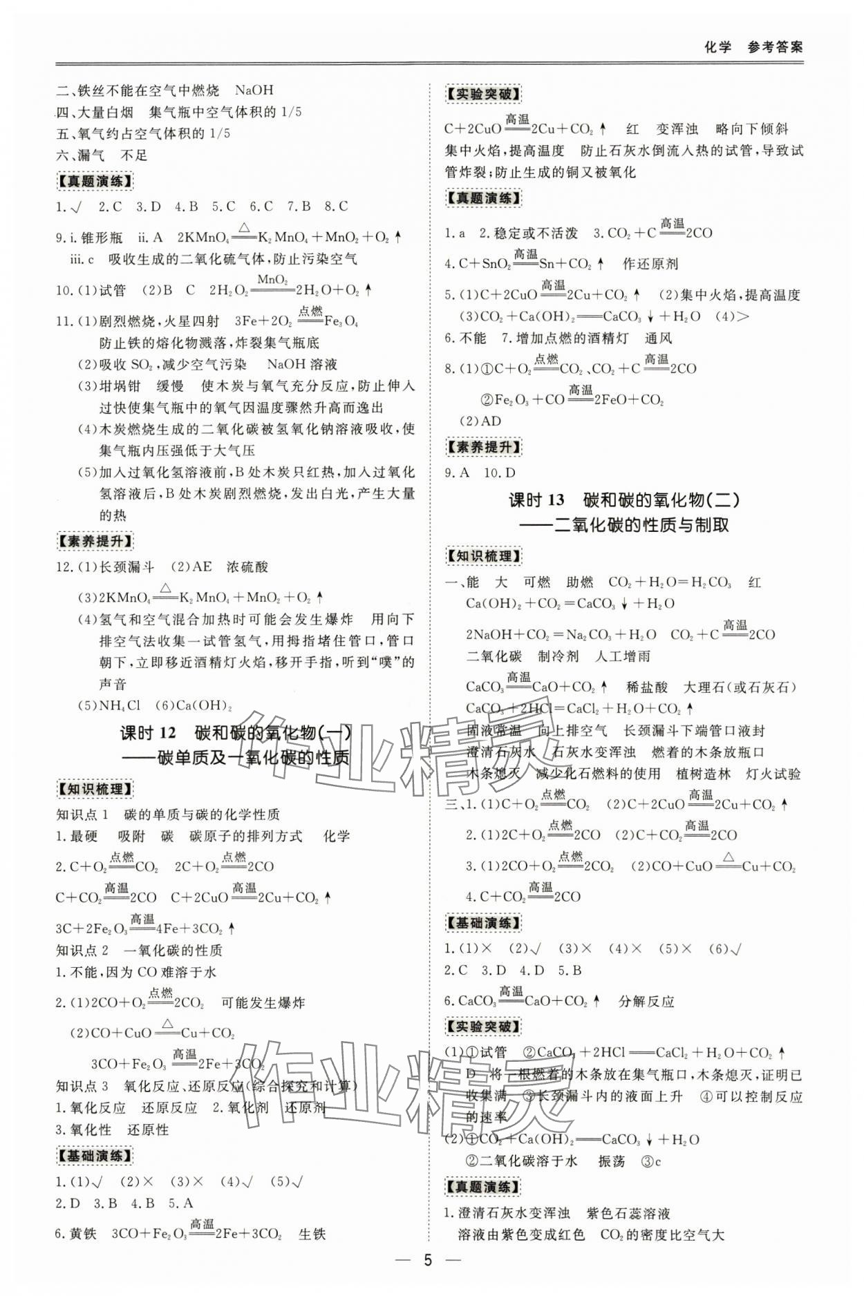 2025年中考宝典化学广东专用版 参考答案第5页