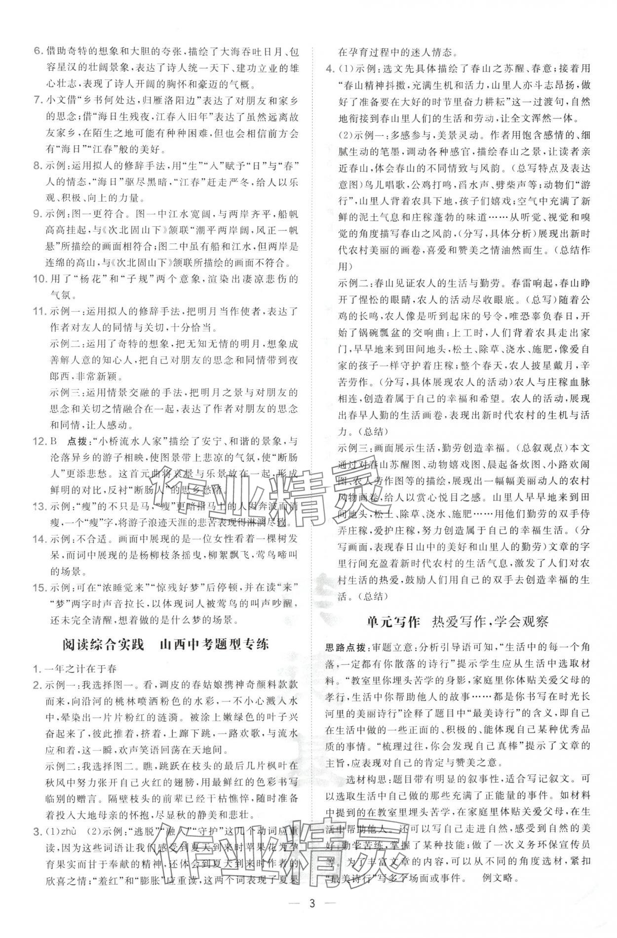 2024年點撥訓練七年級語文上冊人教版山西專版 參考答案第3頁