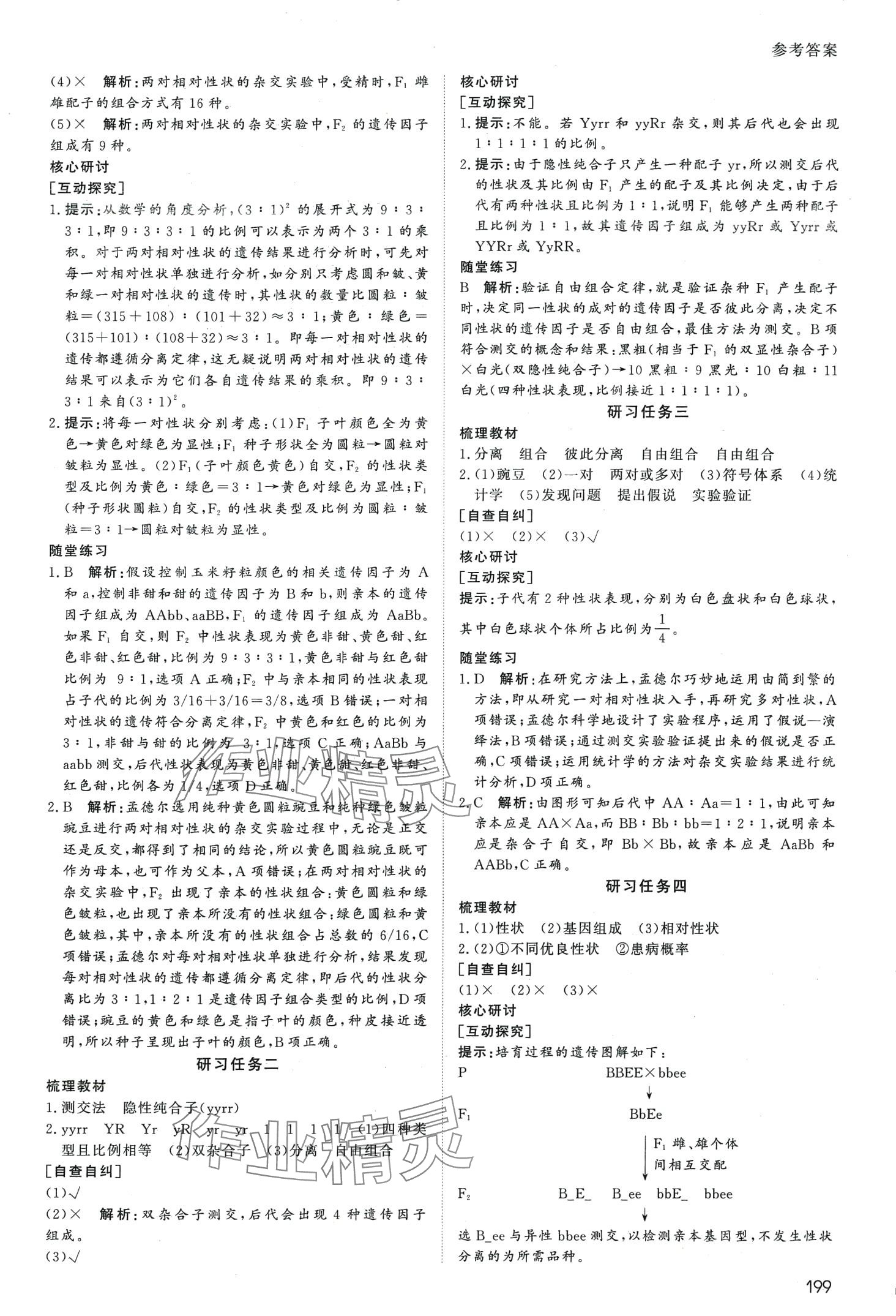 2024年名師伴你行高中同步導學案高中生物必修2人教版 第4頁