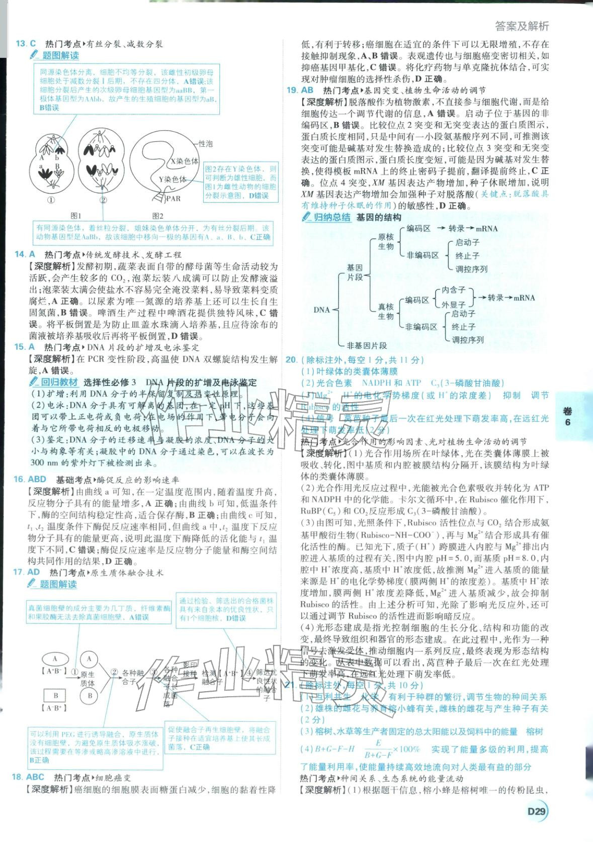 2026年理想樹圖書高考必刷卷42套模擬卷匯編高中生物全一冊通用版江蘇專版 第29頁