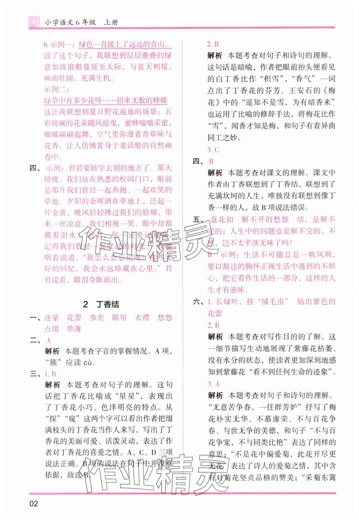 2025年木头马分层课课练六年级语文上册人教版福建专版 第2页