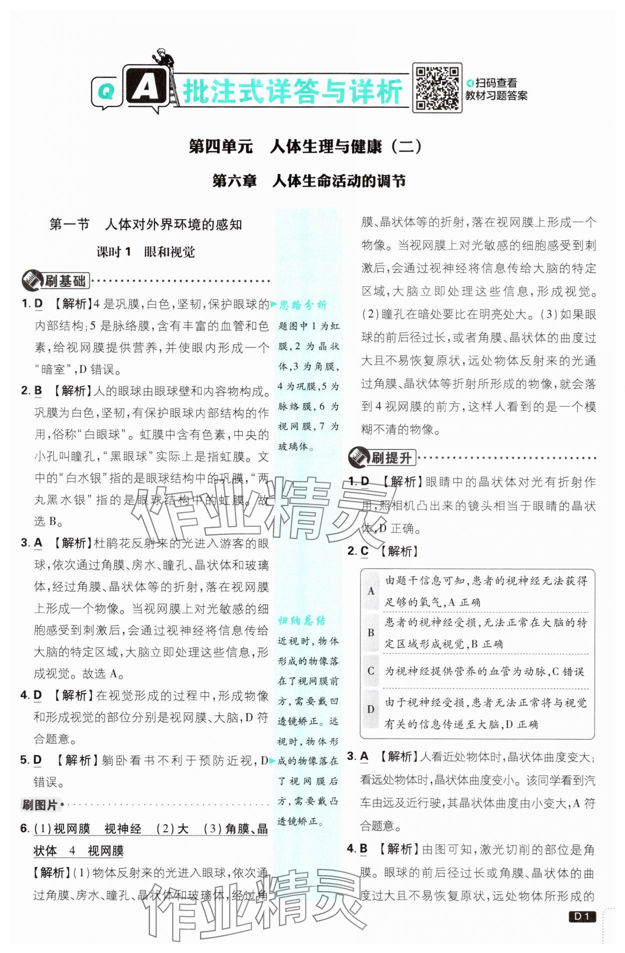 2025年初中必刷題八年級生物上冊人教版 第1頁