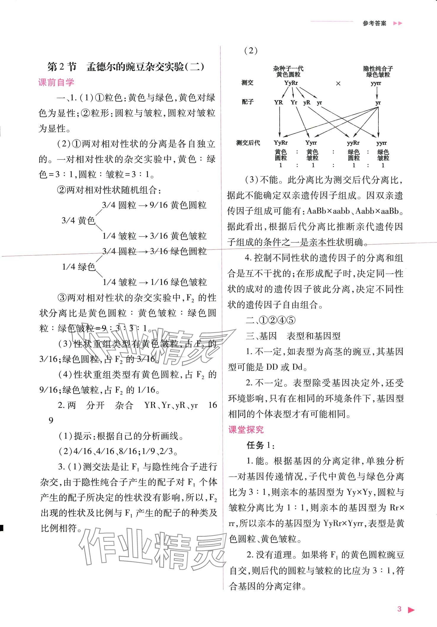 2024年普通高中新課程同步練習冊高中生物必修2人教版 第3頁