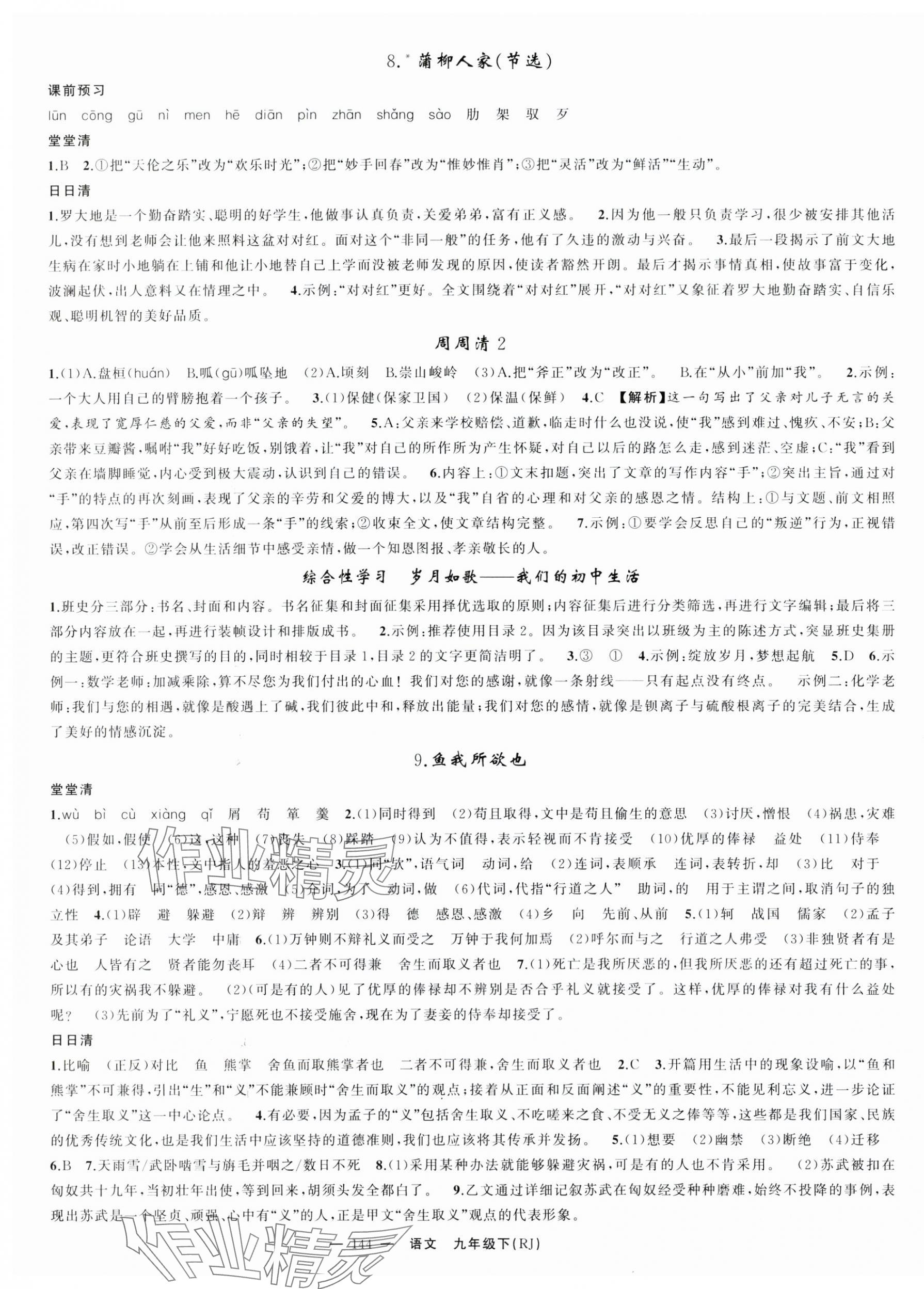 2025年四清导航九年级语文下册人教版湖北专版&nbsp;第4页